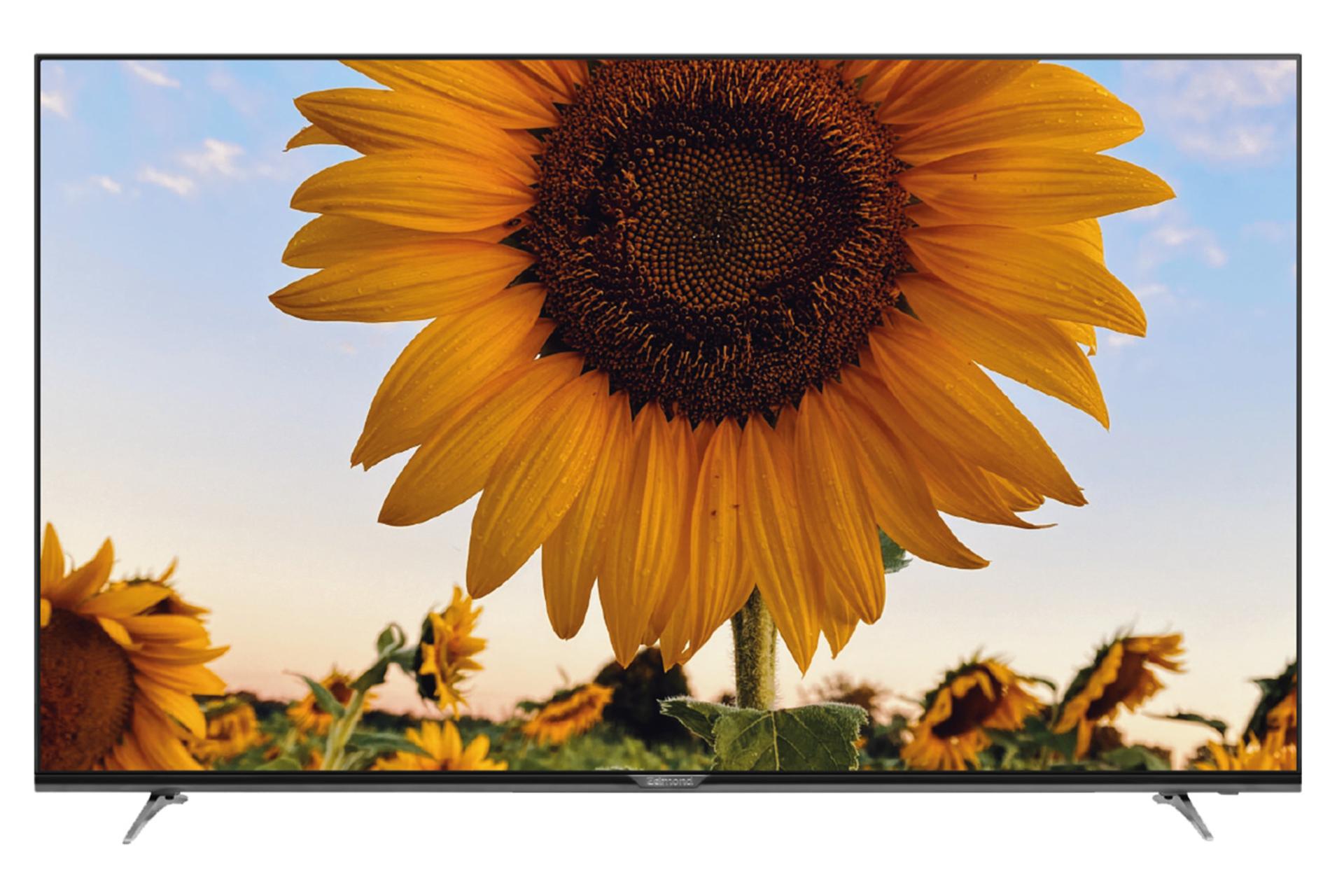 تلویزیون زلموند Zelmond PANA55US2134 