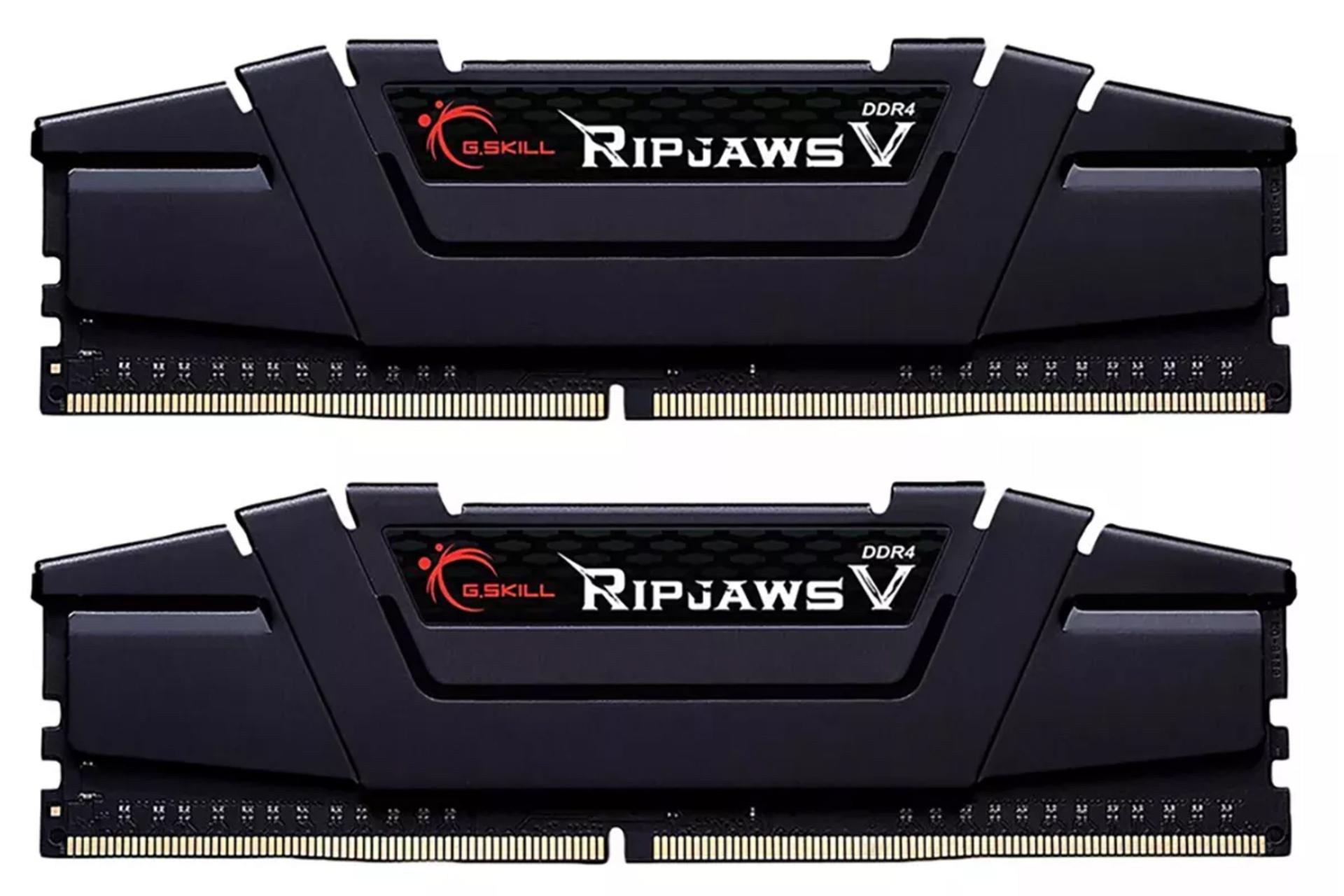 رم جی اسکیل Ripjaws V ظرفیت 32 گیگابایت (2x16) از نوع DDR4-3600