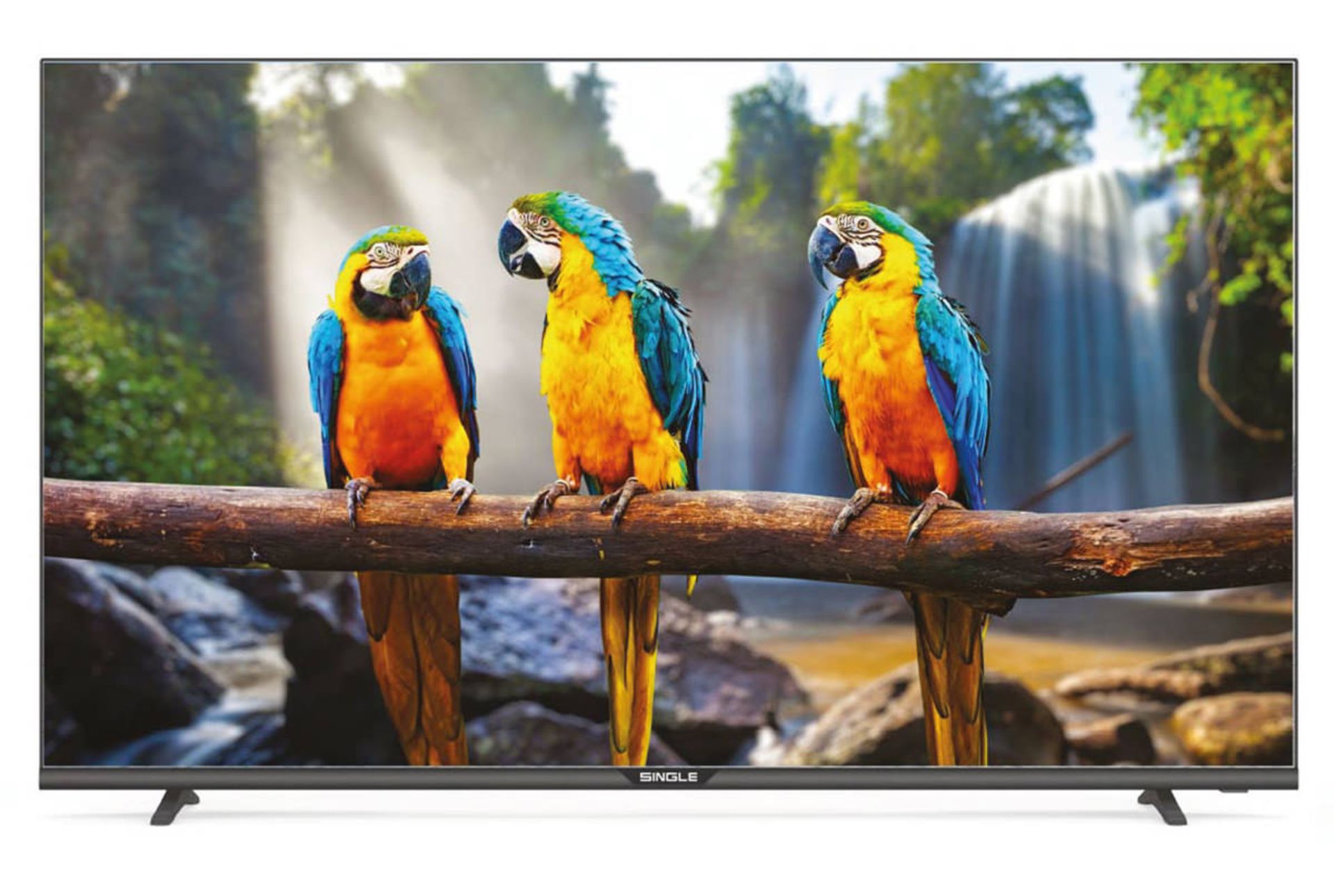 تلویزیون سینگل Single 4322C