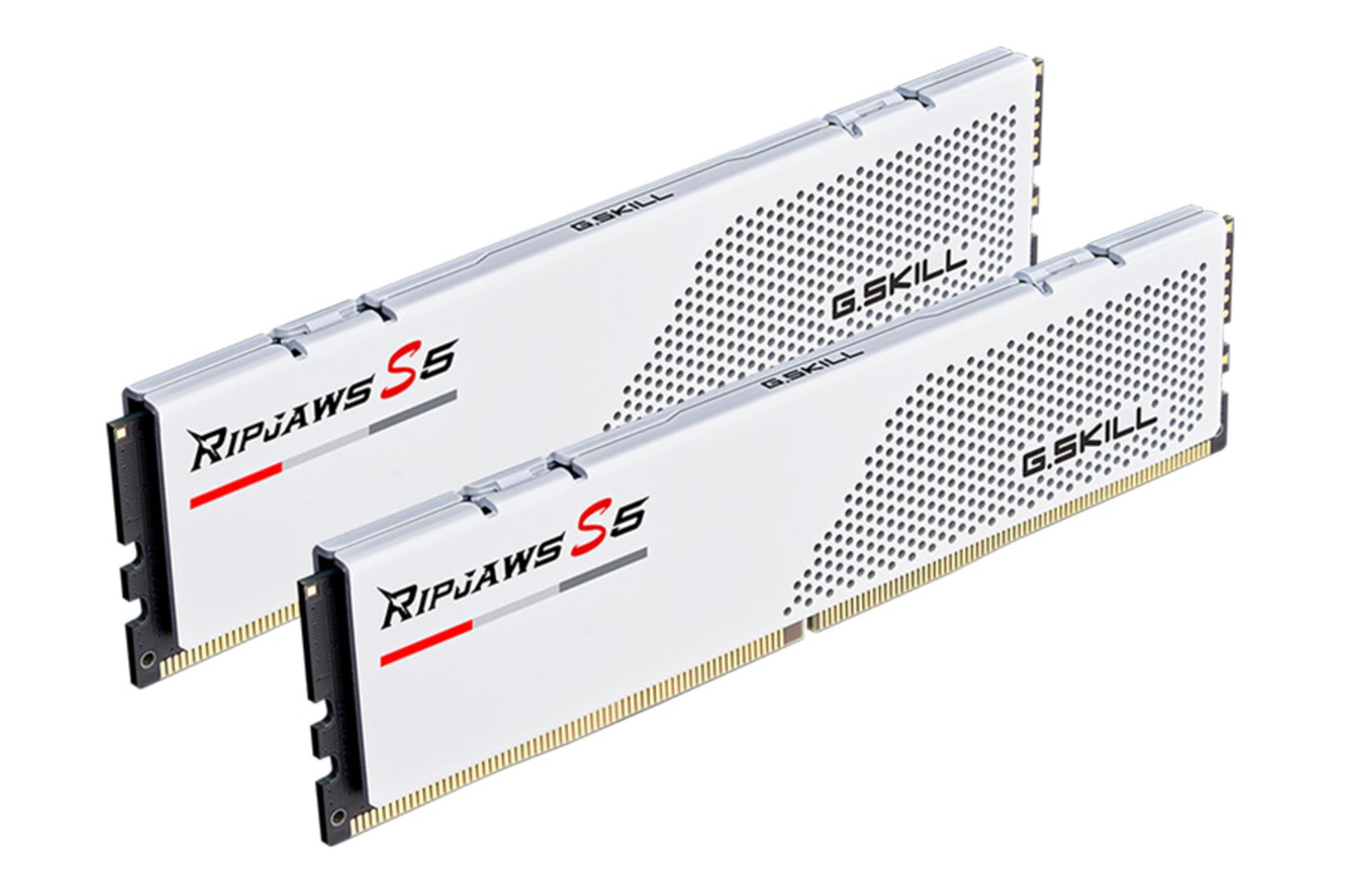 نمای کناری رنگ سفید رم جی اسکیل G.Skill Ripjaws S5 32GB (2x16) DDR5-5600 CL36