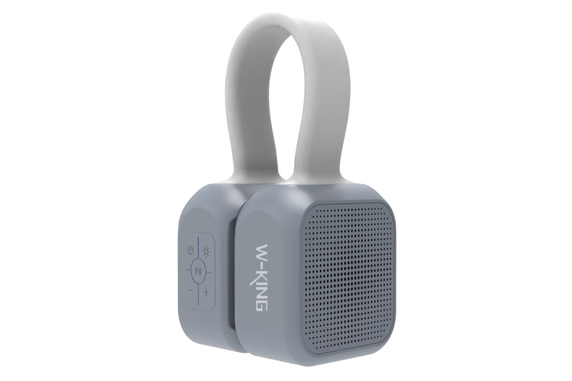 ابعاد اسپیکر دبلیو کینگ W-King S22