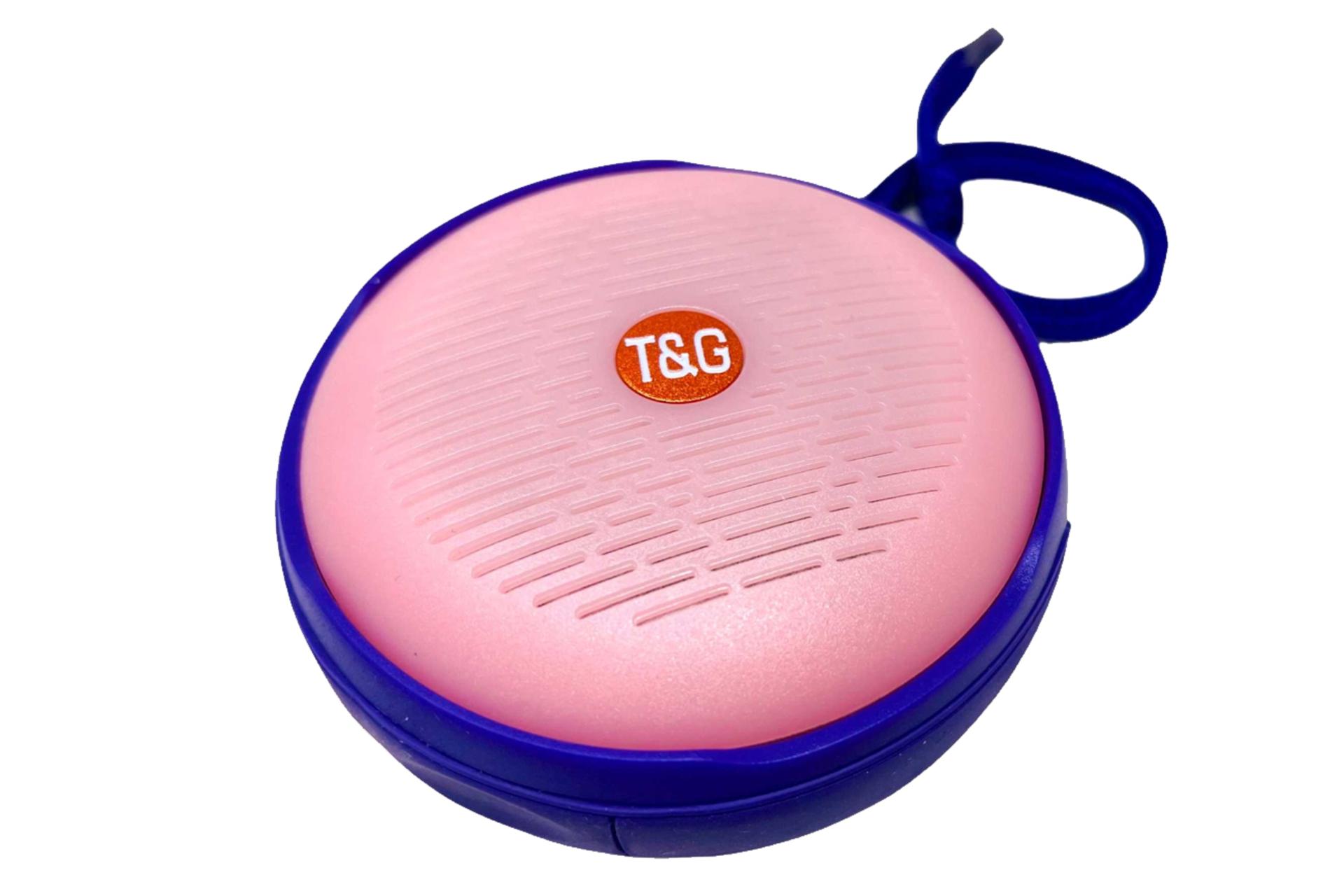 توان اسپیکر تی اند جی T&G TG-607