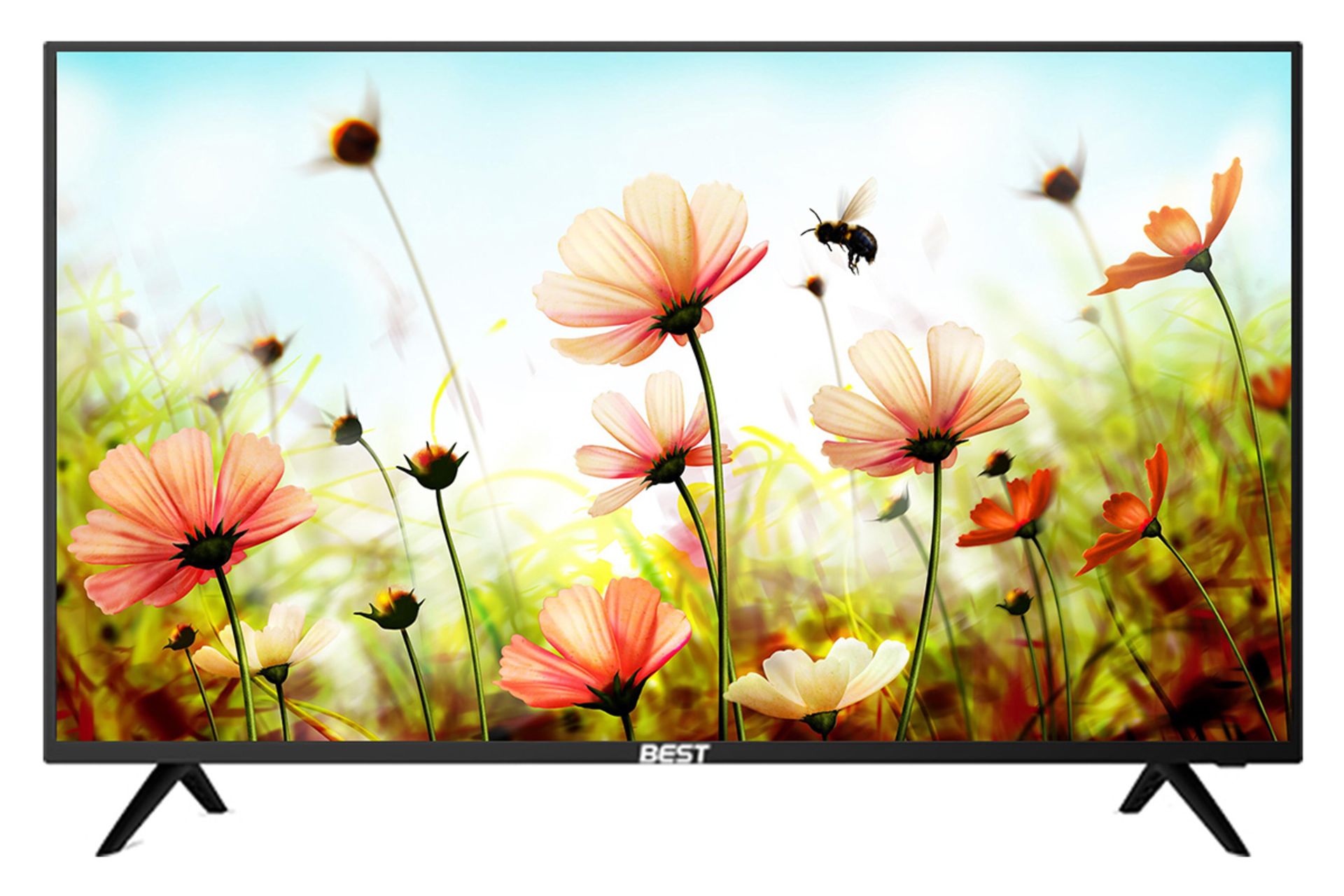 نمای جلو تلویزیون بست الکتریک BFS43