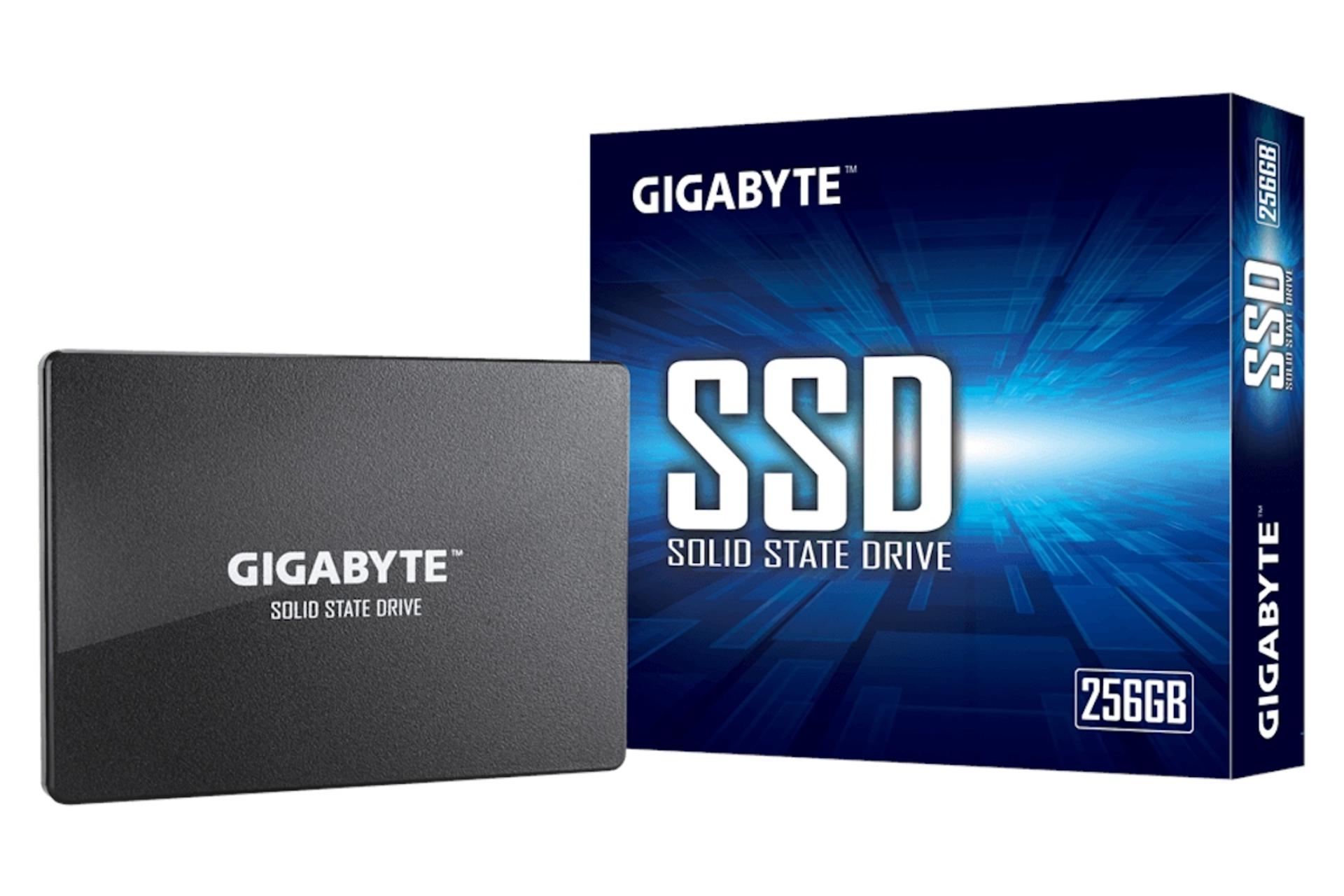 SSD گیگابایت GP-GSTFS31256GTND SATA 2.5 Inch ظرفیت 256 گیگابایت