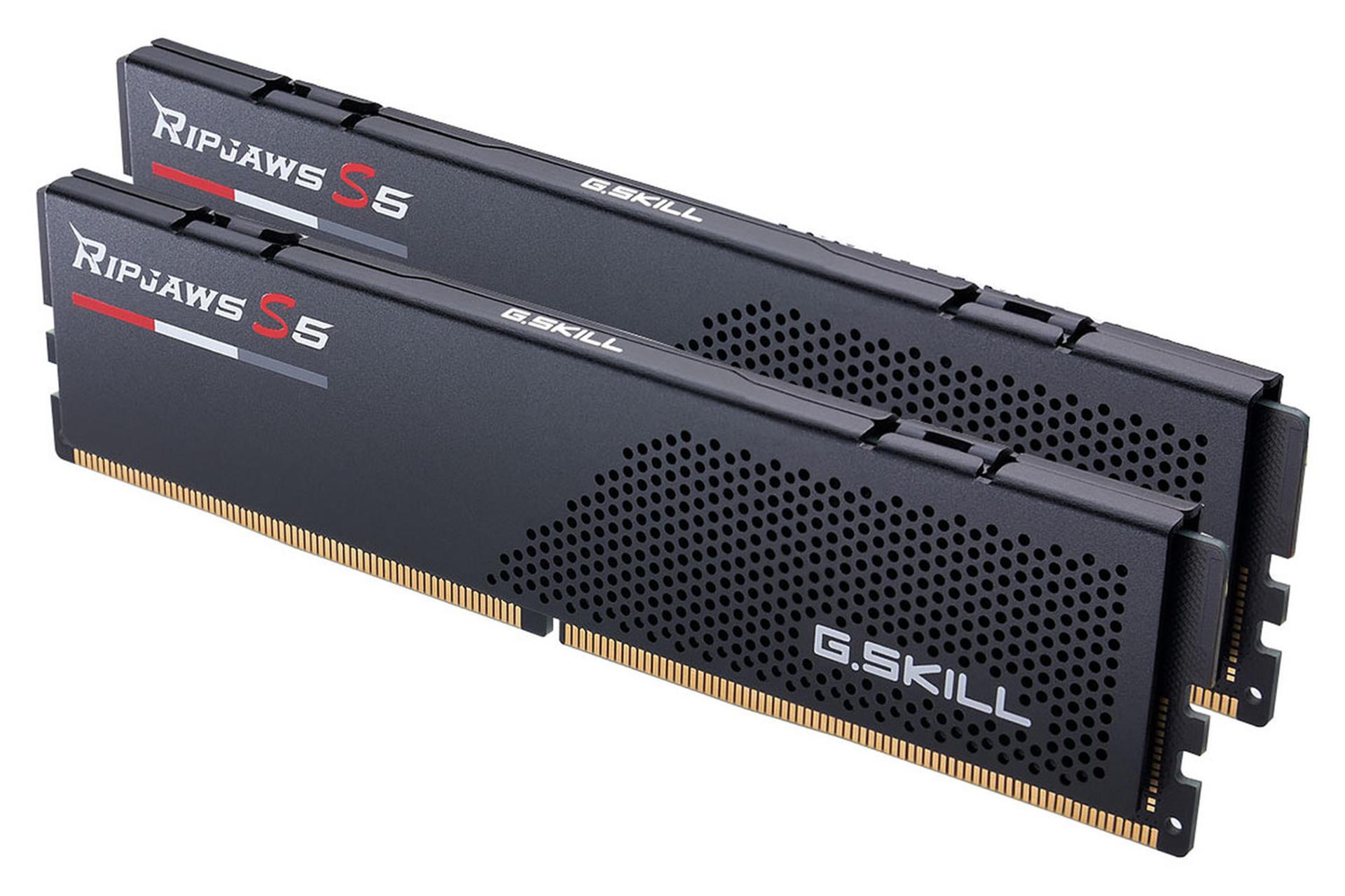 نمای کناری رم جی اسکیل G.skill Ripjaws S5 32GB (2x16) DDR5-6000 CL36