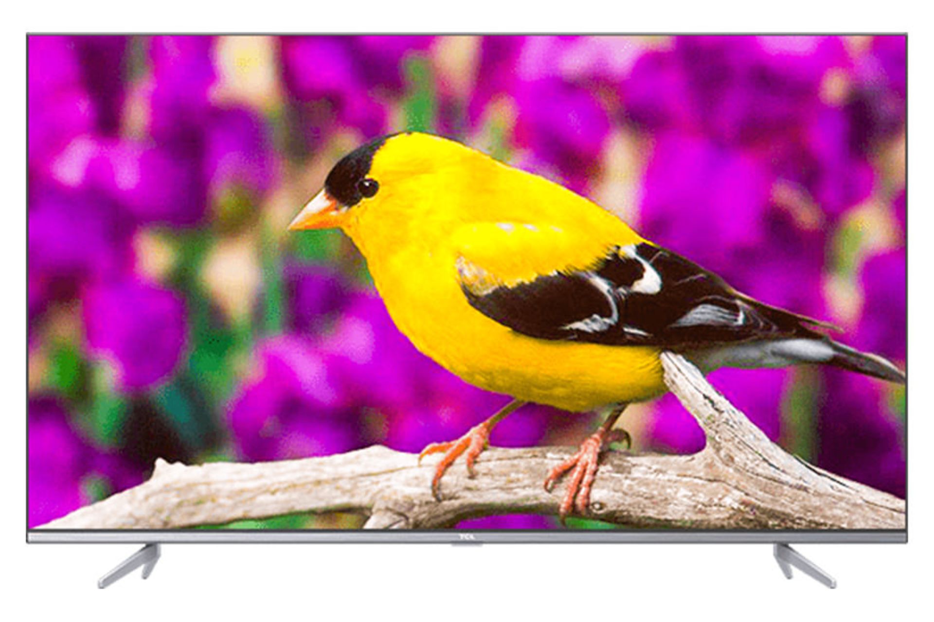 تلویزیون تی سی ال TCL 50P725i