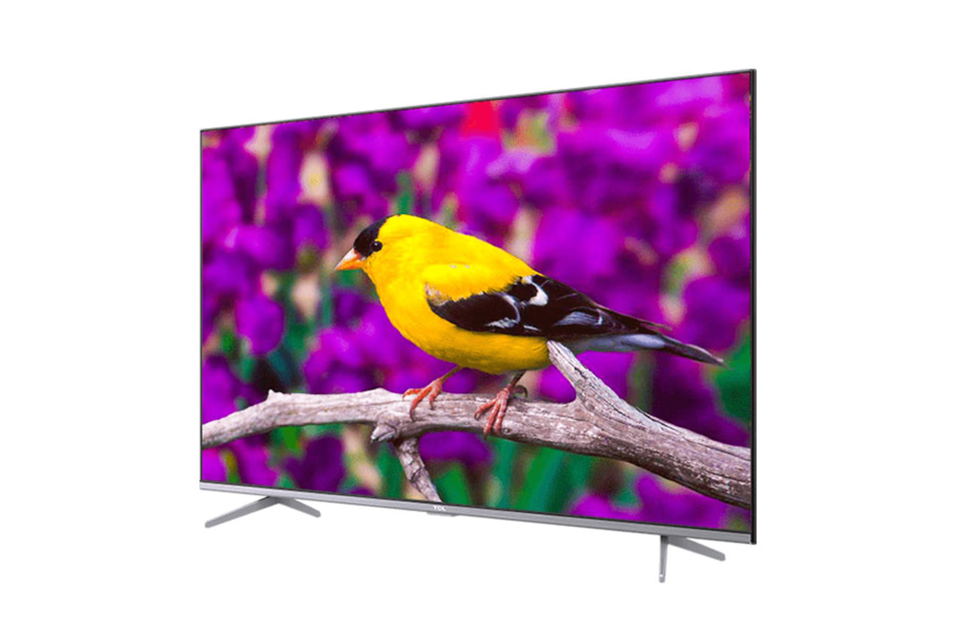 تلویزیون تی سی ال TCL 50P725i نمای جلو