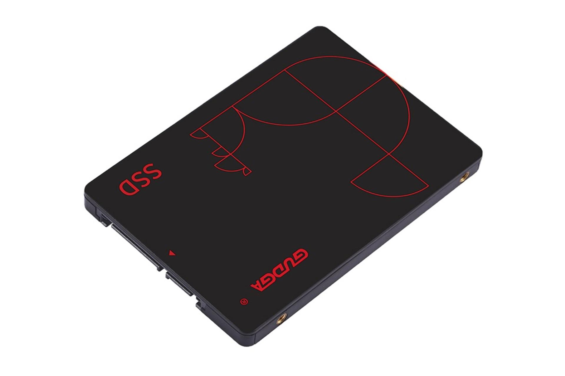SSD گودگا SATA 2.5 Inch ظرفیت 256 گیگابایت