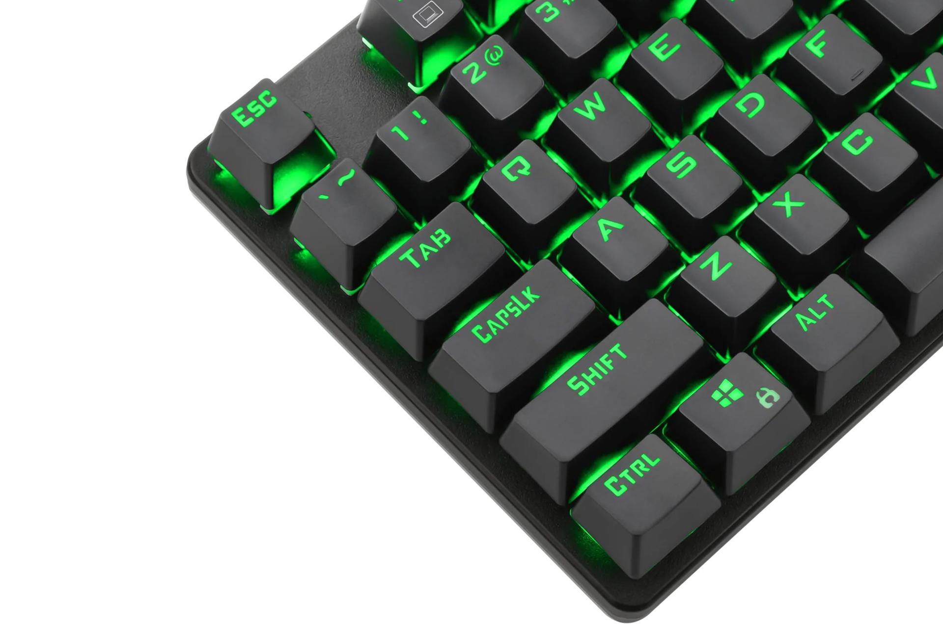 کلیدهای کیبورد تی دگر PAVONES TGK319