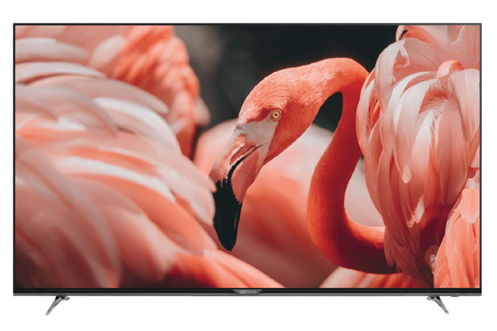 تلویزیون زلموند Zelmond PANA65Z750