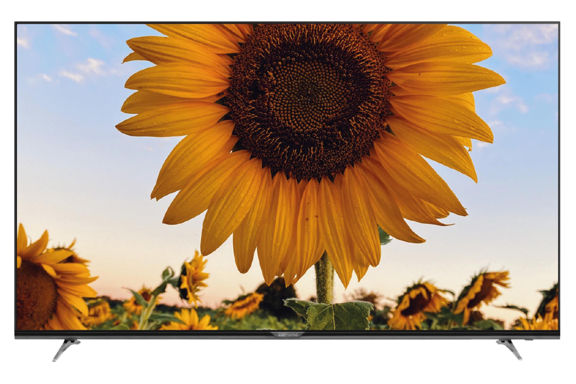 تلویزیون زلموند Zelmond PANA55Z750