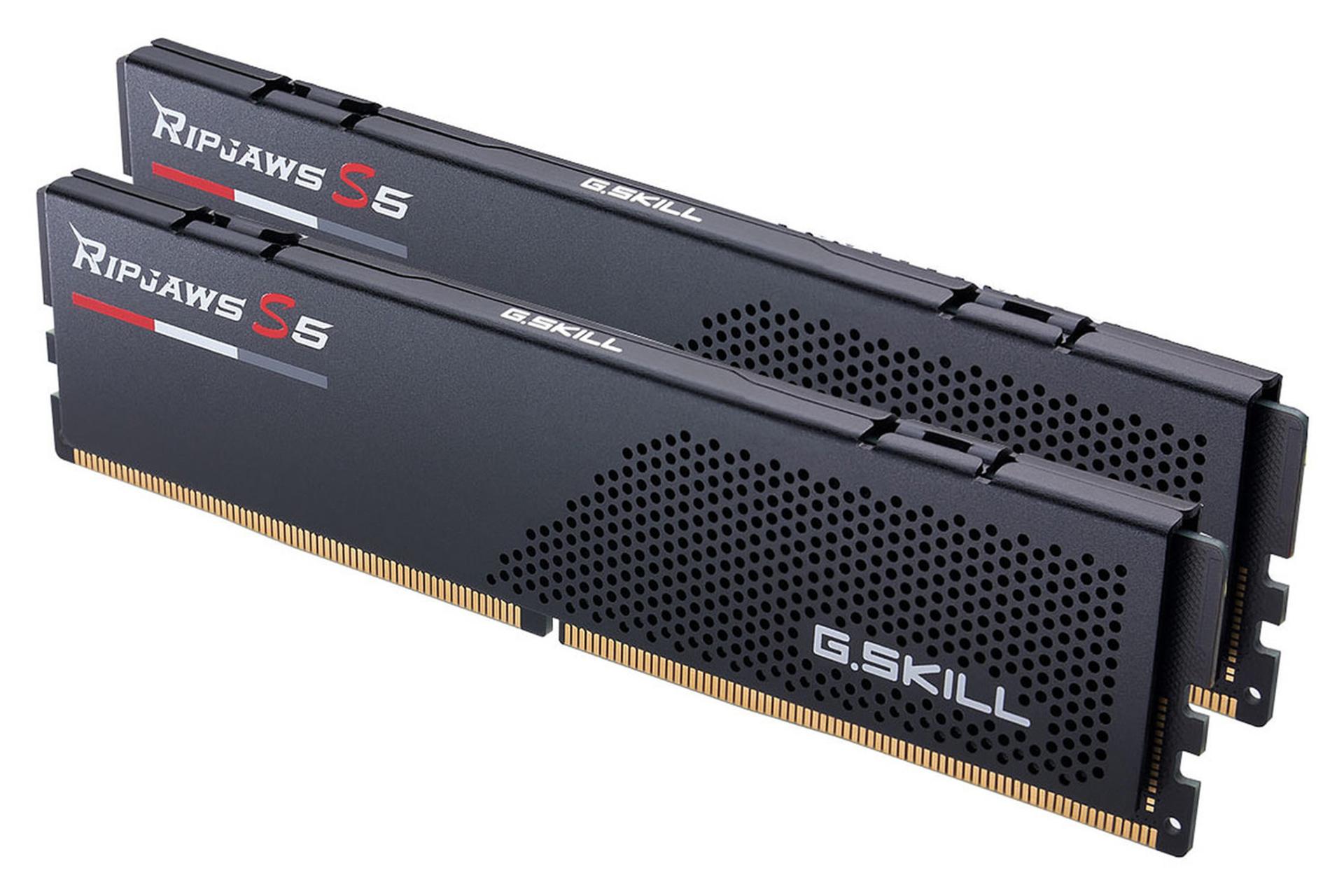 نمای کناری رم جی اسکیل G.Skill Ripjaws S5 32GB (2x16) DDR5-6000 CL32