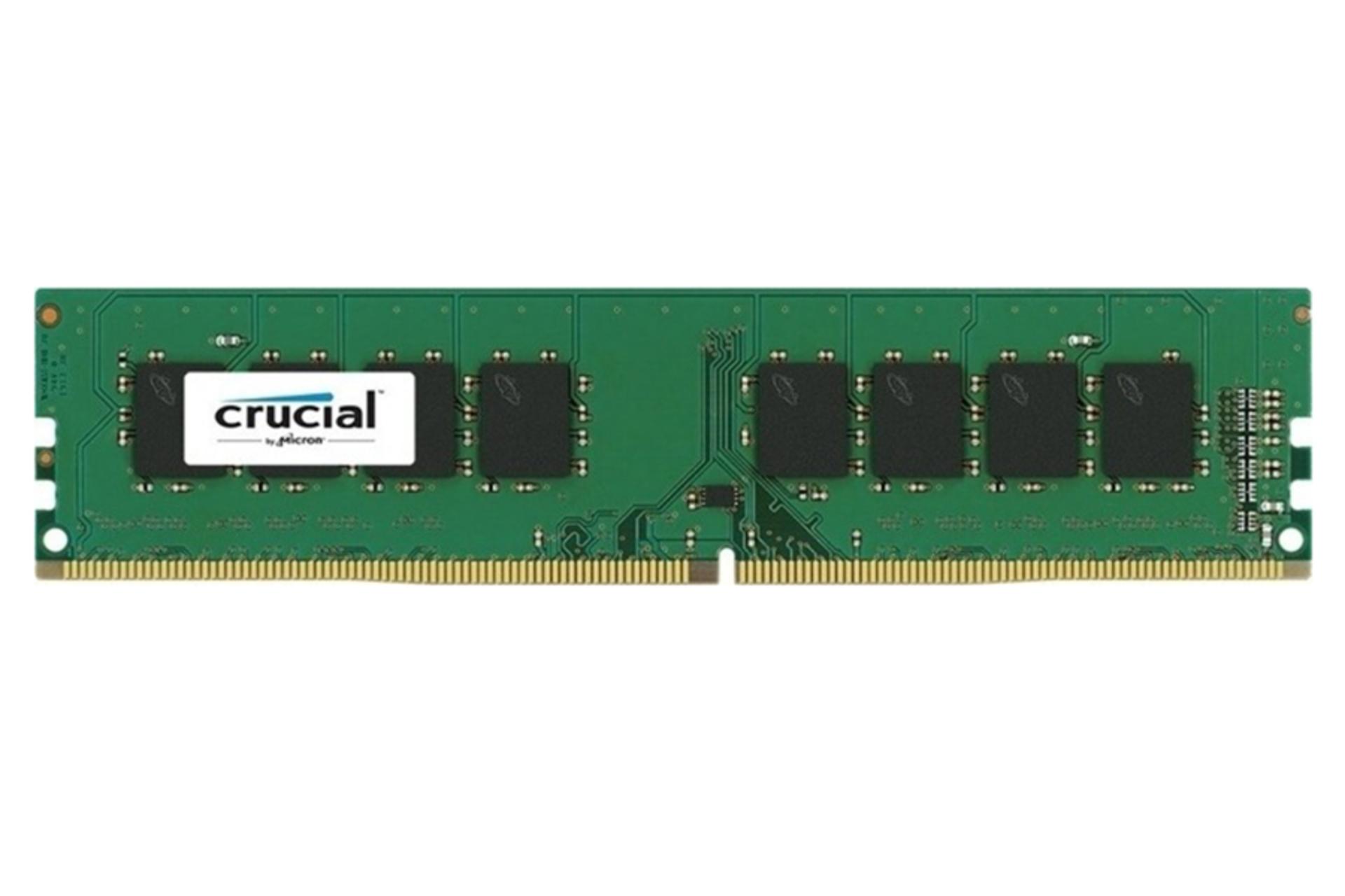 نمای جلو کروشیال CB16GU2666 ظرفیت 16 گیگابایت از نوع DDR4-2666