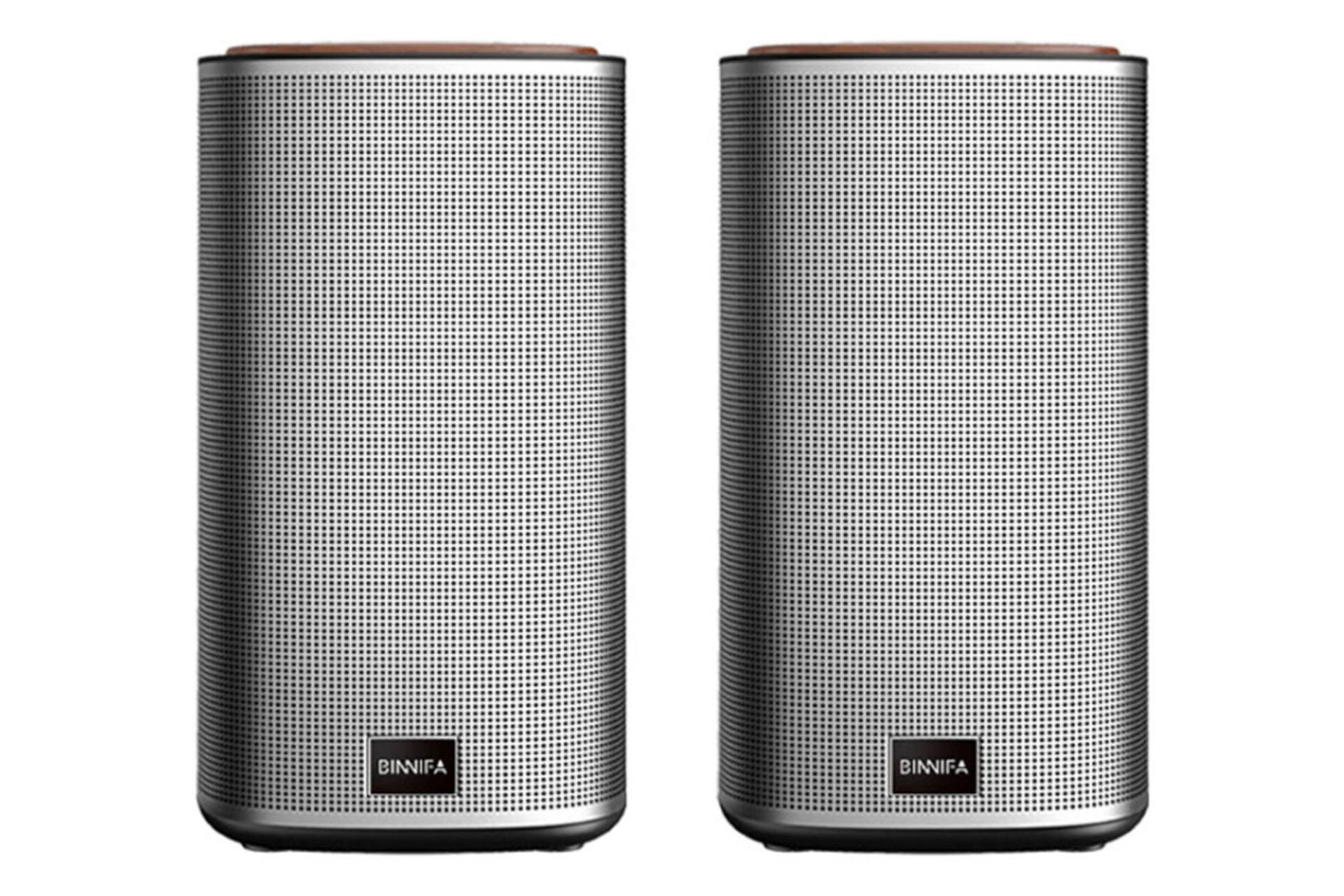 اسپیکر شیائومی Xiaomi BINNIFA Play 2D