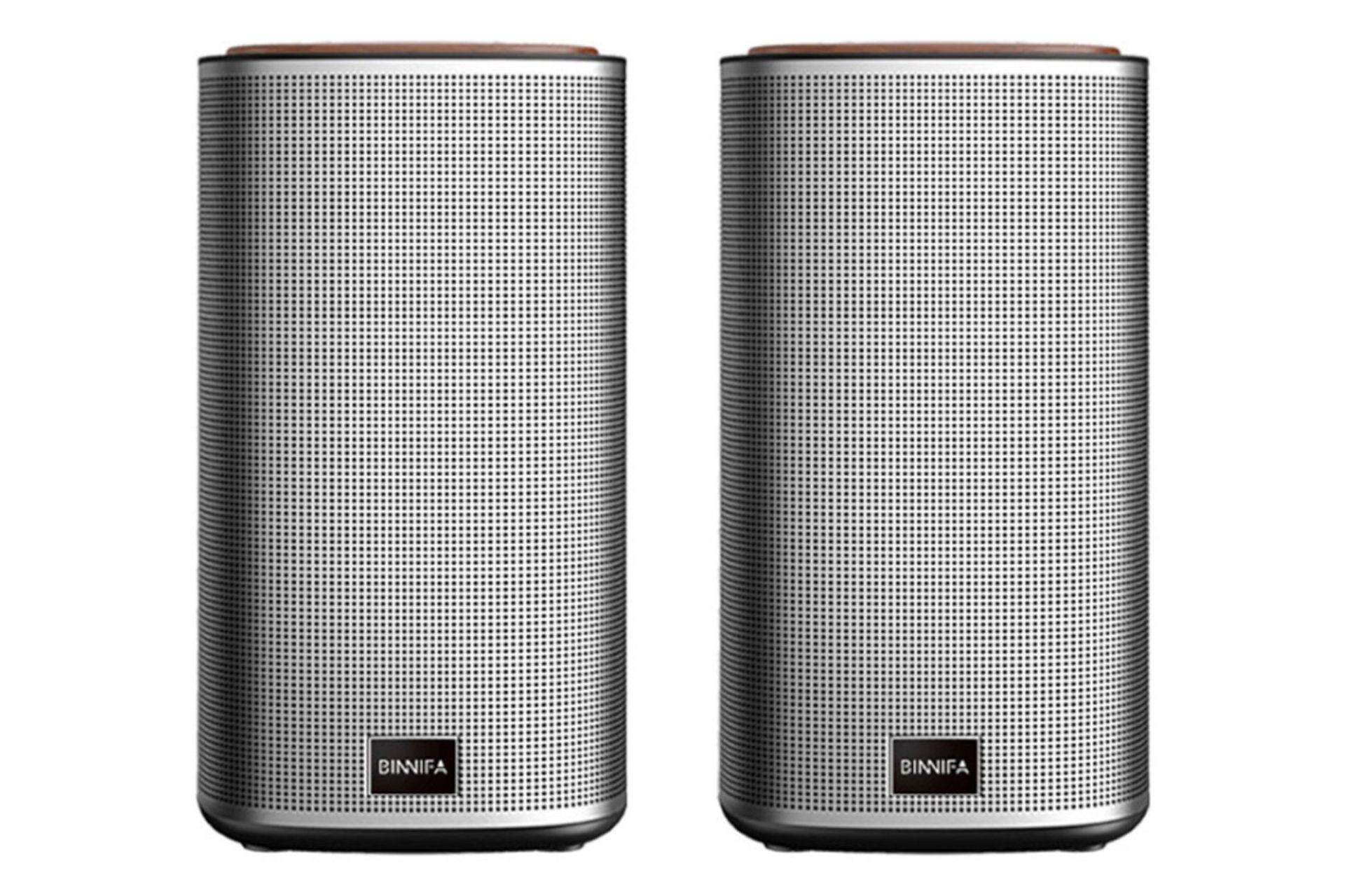 اسپیکر شیائومی Xiaomi BINNIFA Play 2D