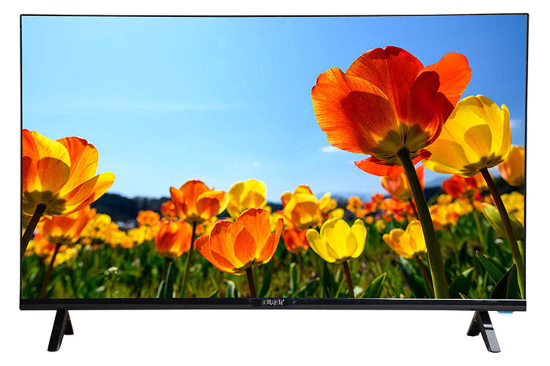 تلویزیون بلست Blest BTV-32HDC310B