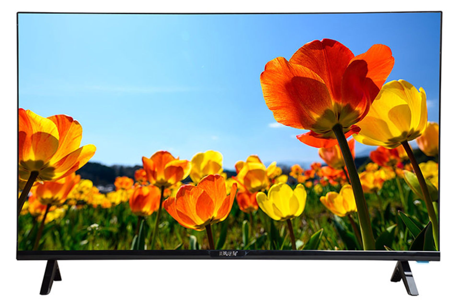 تلویزیون بلست Blest BTV-32HDC310B