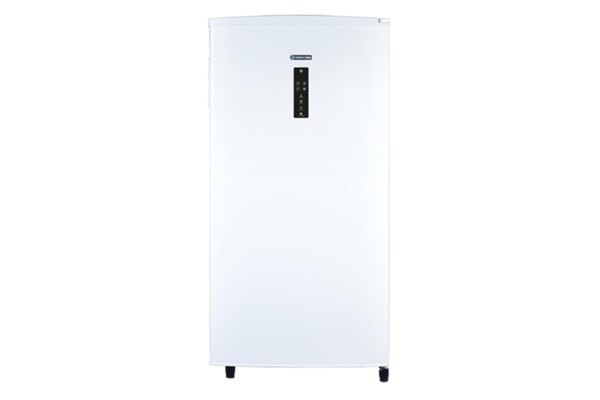 فریزر ایستکول EASTCOOL TM-999-95