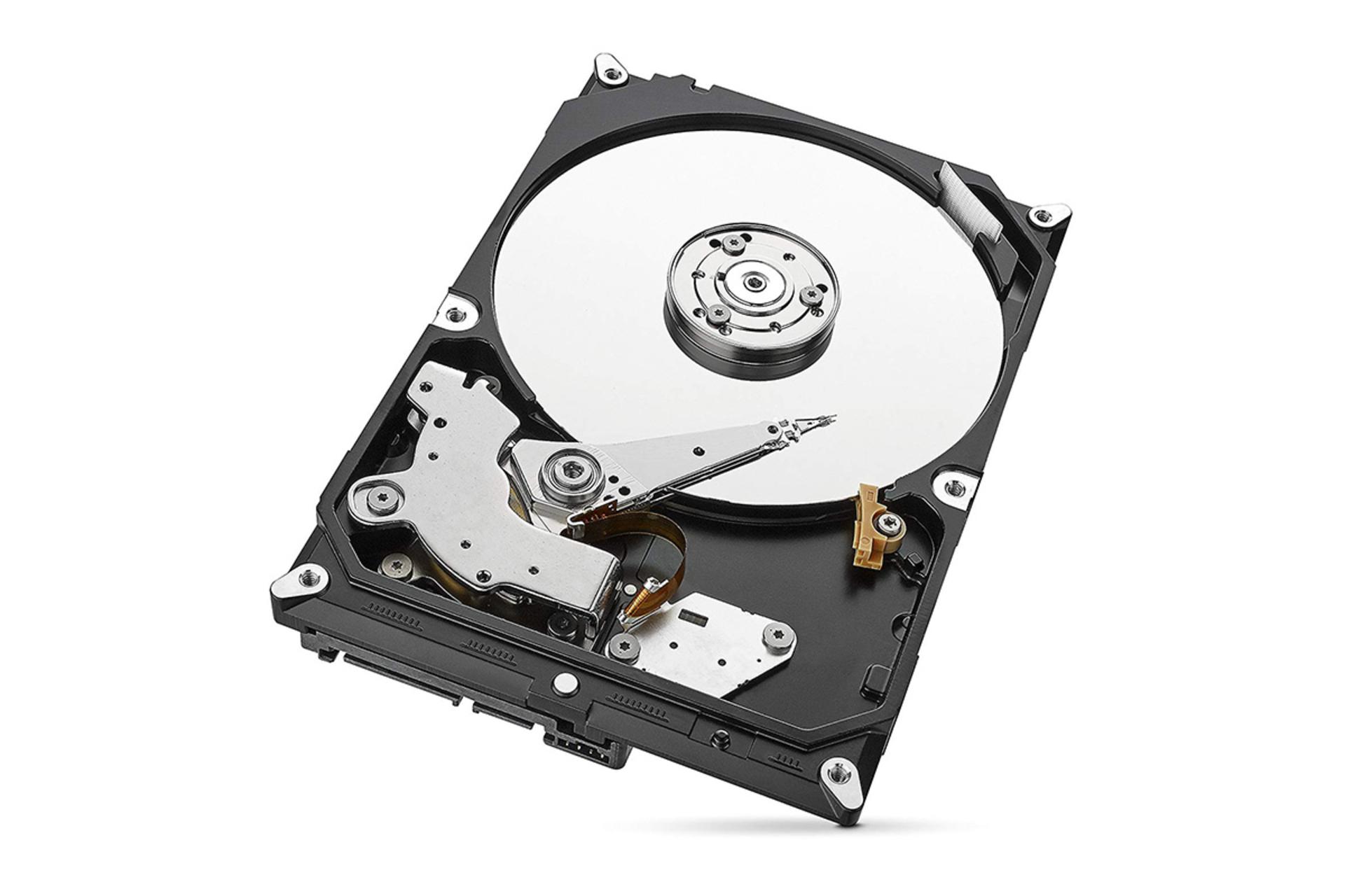 Seagate SkyHawk ST1000VX005 1TB