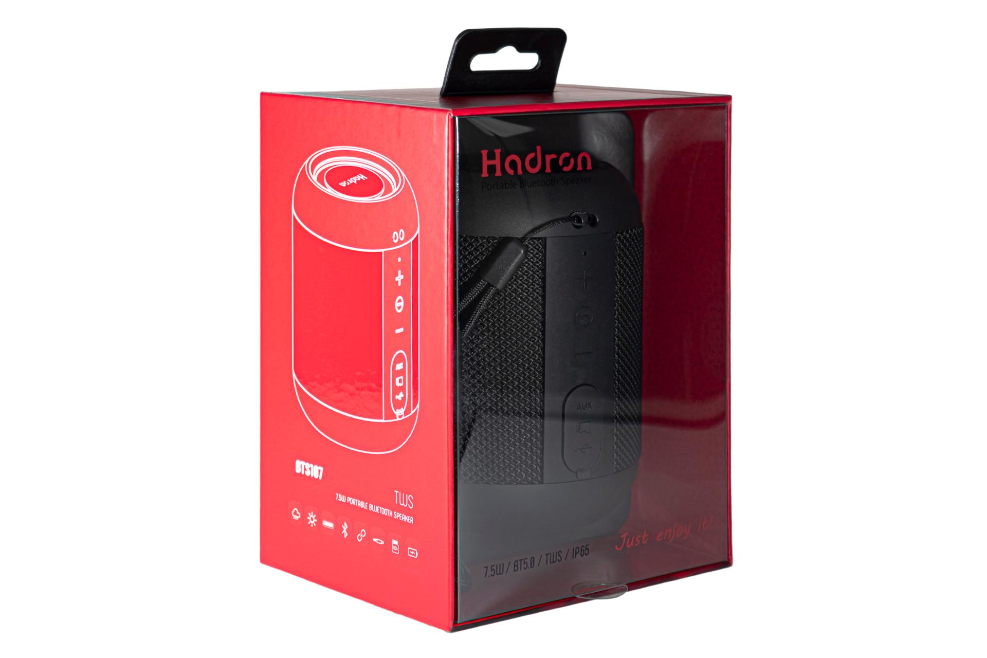 جعبه اسپیکر هادرون Hadron BTS107