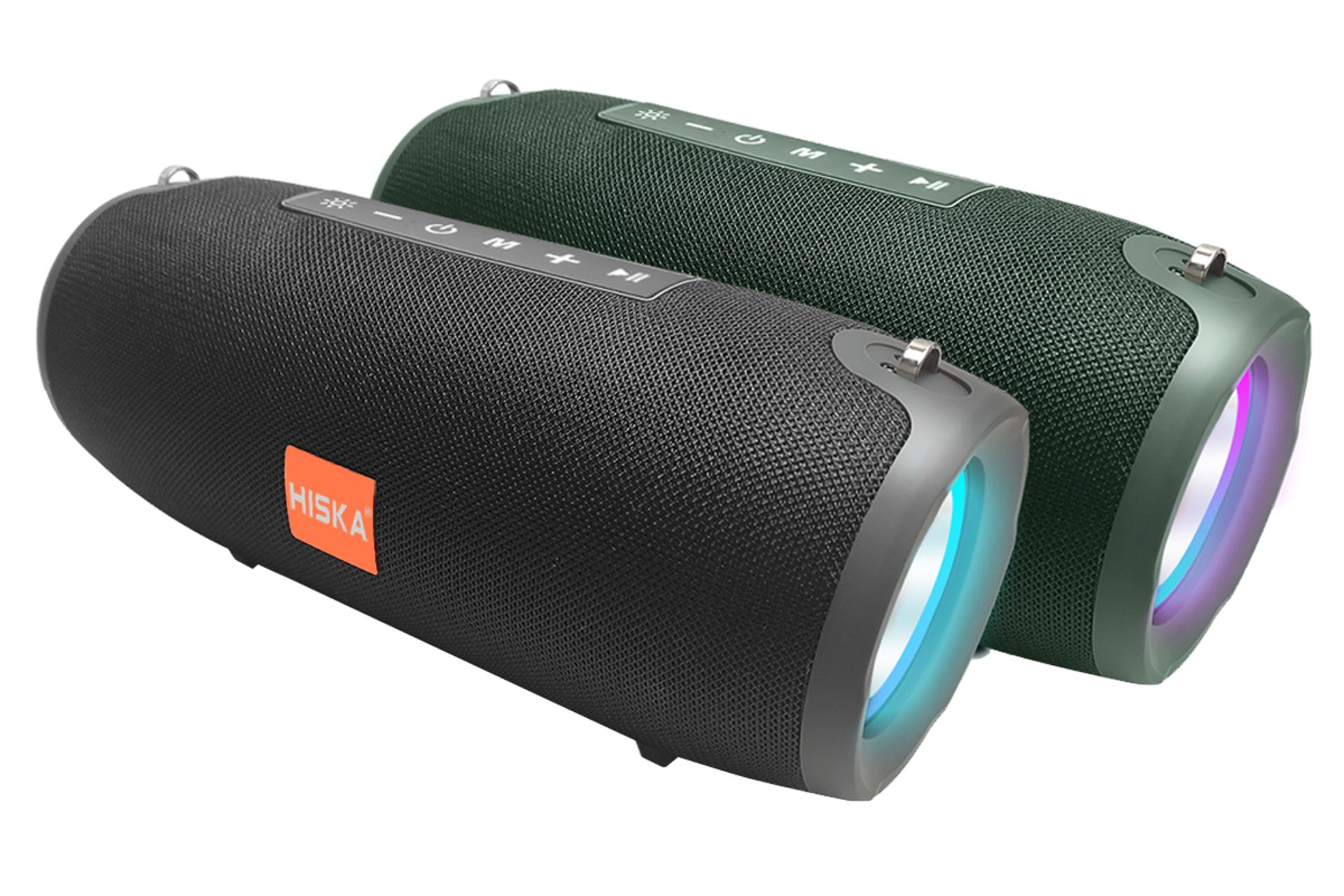 توان اسپیکر هیسکا HISKA B193
