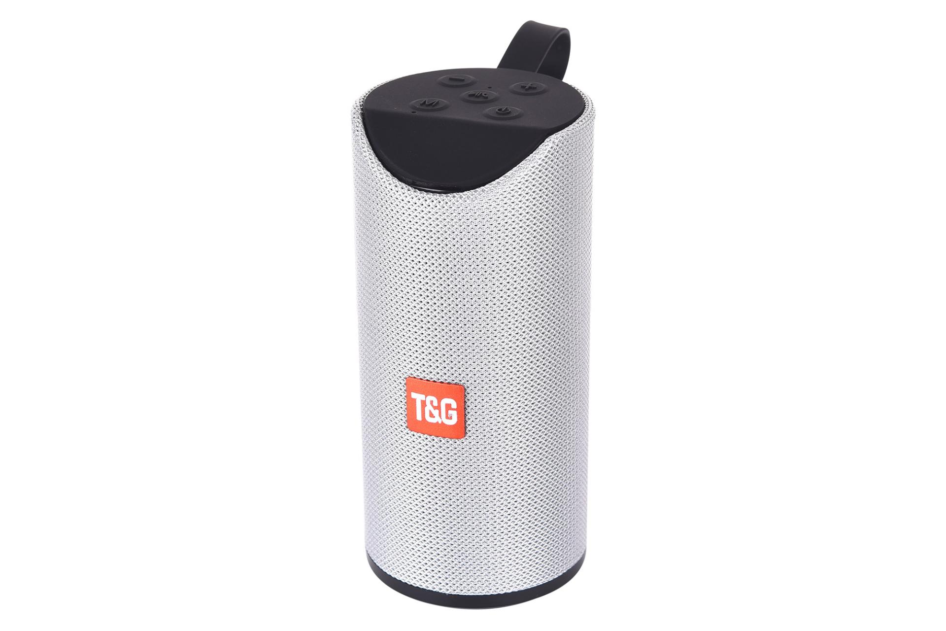 اسپیکر تی اند جی T&G TG-113 خاکستری