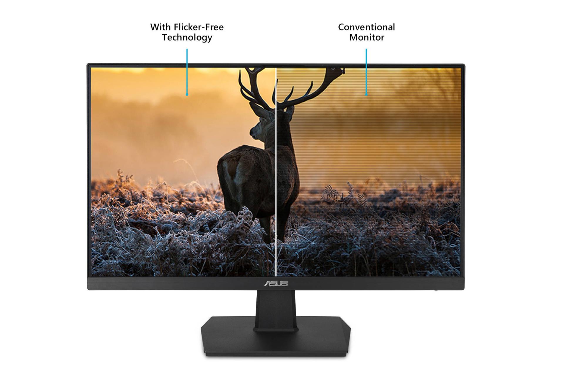 نمای جلو مانیتور ایسوس 23.8 اینچ مدل VA24EHE رنگ مشکی حالت محافظت از چشم