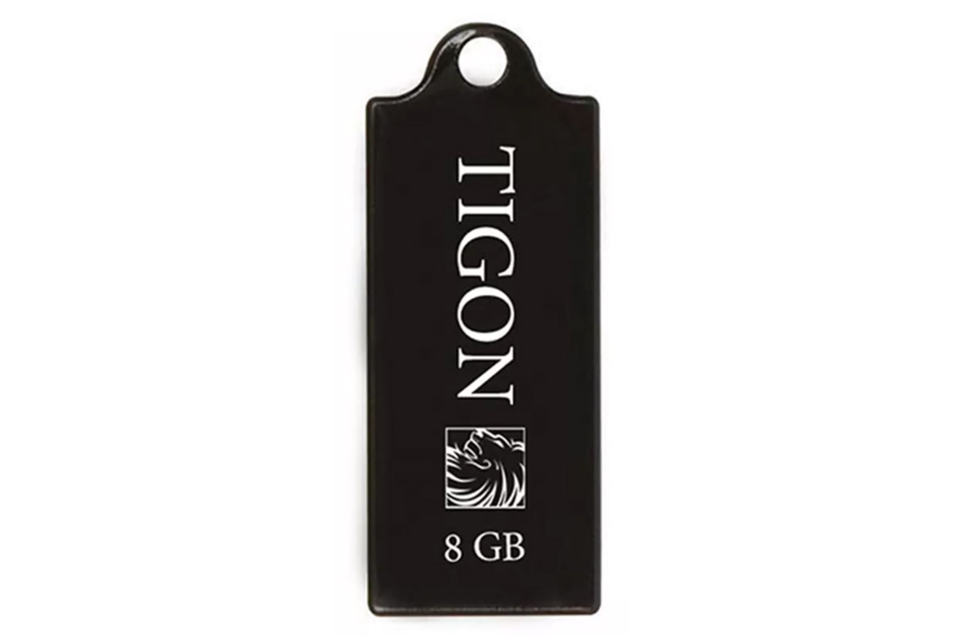 فلش مموری تایگون P110