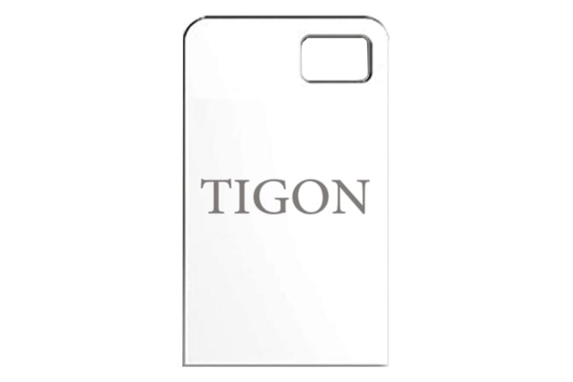 نمای روبرو فلش مموری تایگون P96