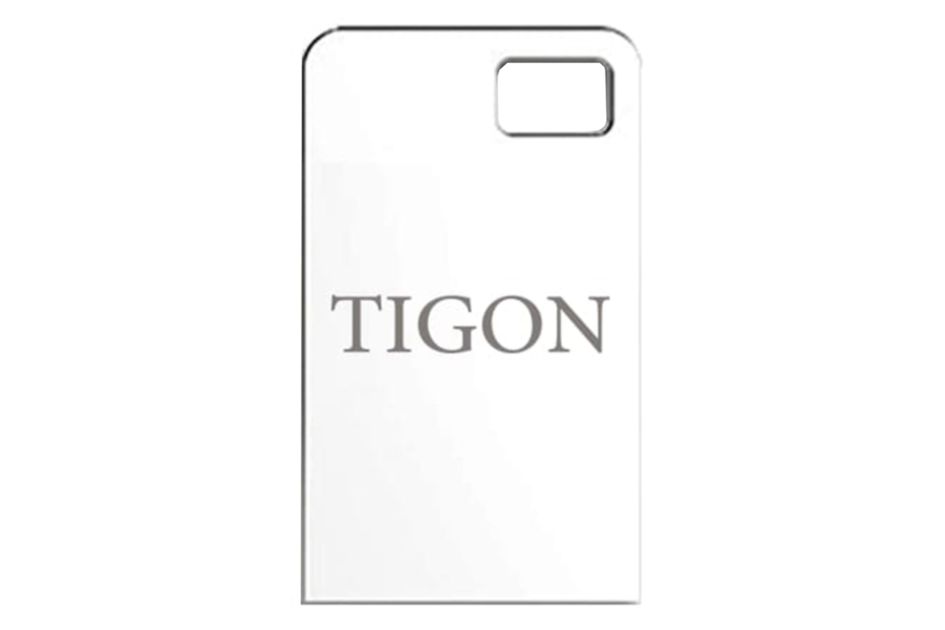 نمای روبرو فلش مموری تایگون P96