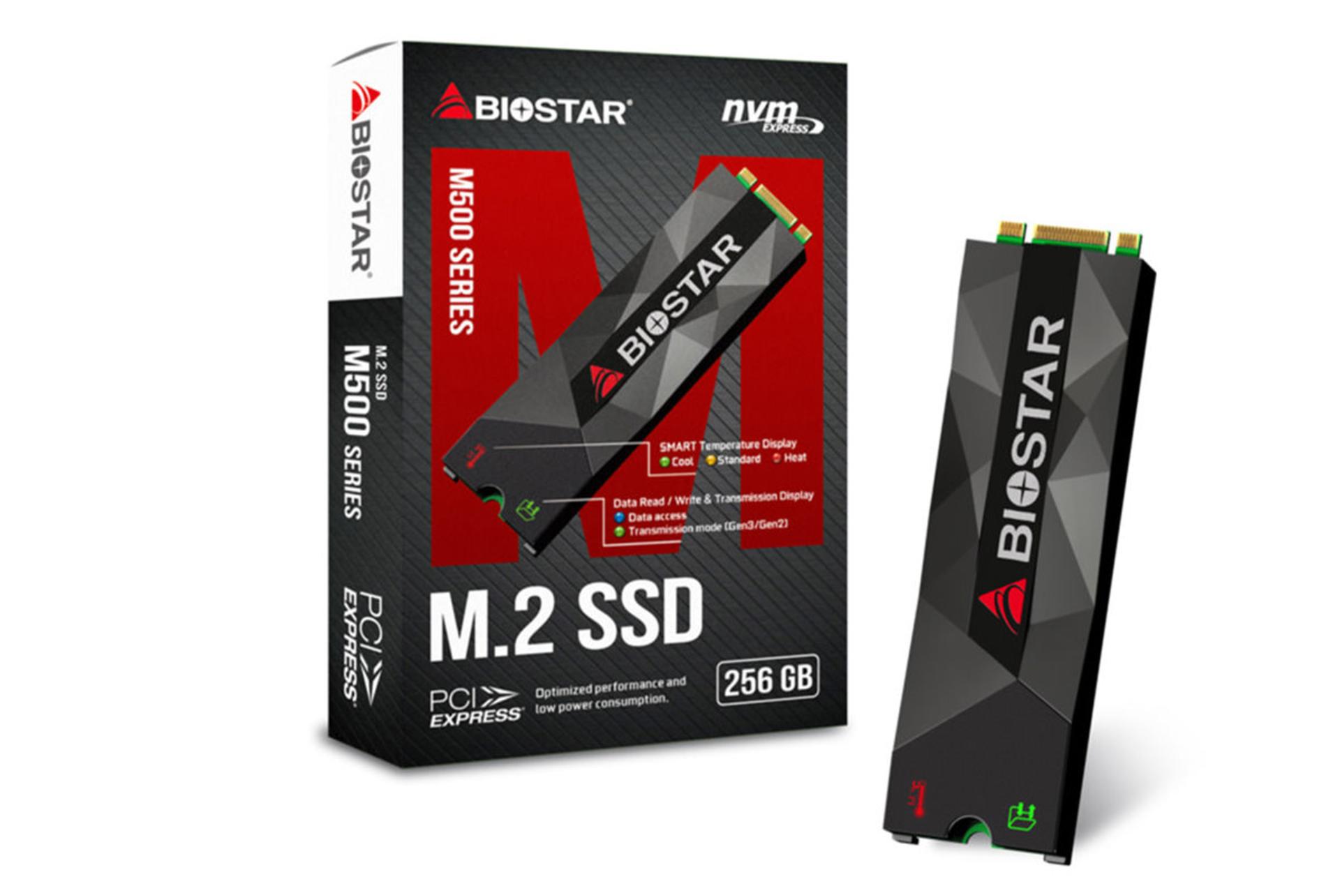 Biostar M500 M.2 / بایوستار M500 M.2