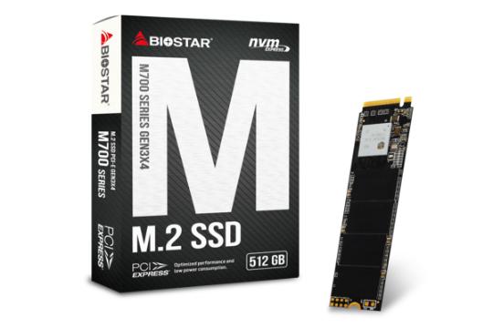 Biostar M700 512GB
