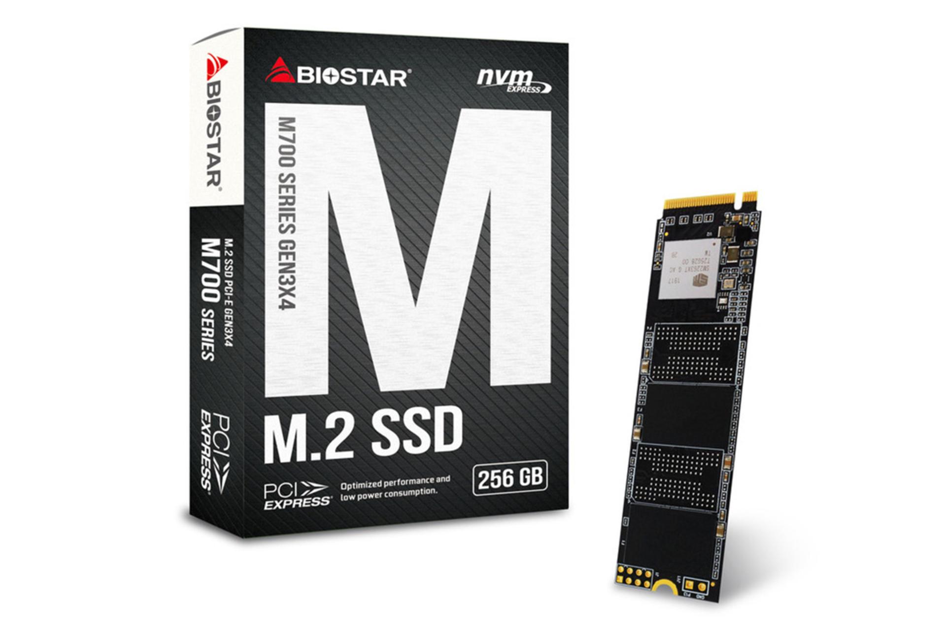 Biostar M700 256GB / بایوستار ام 700