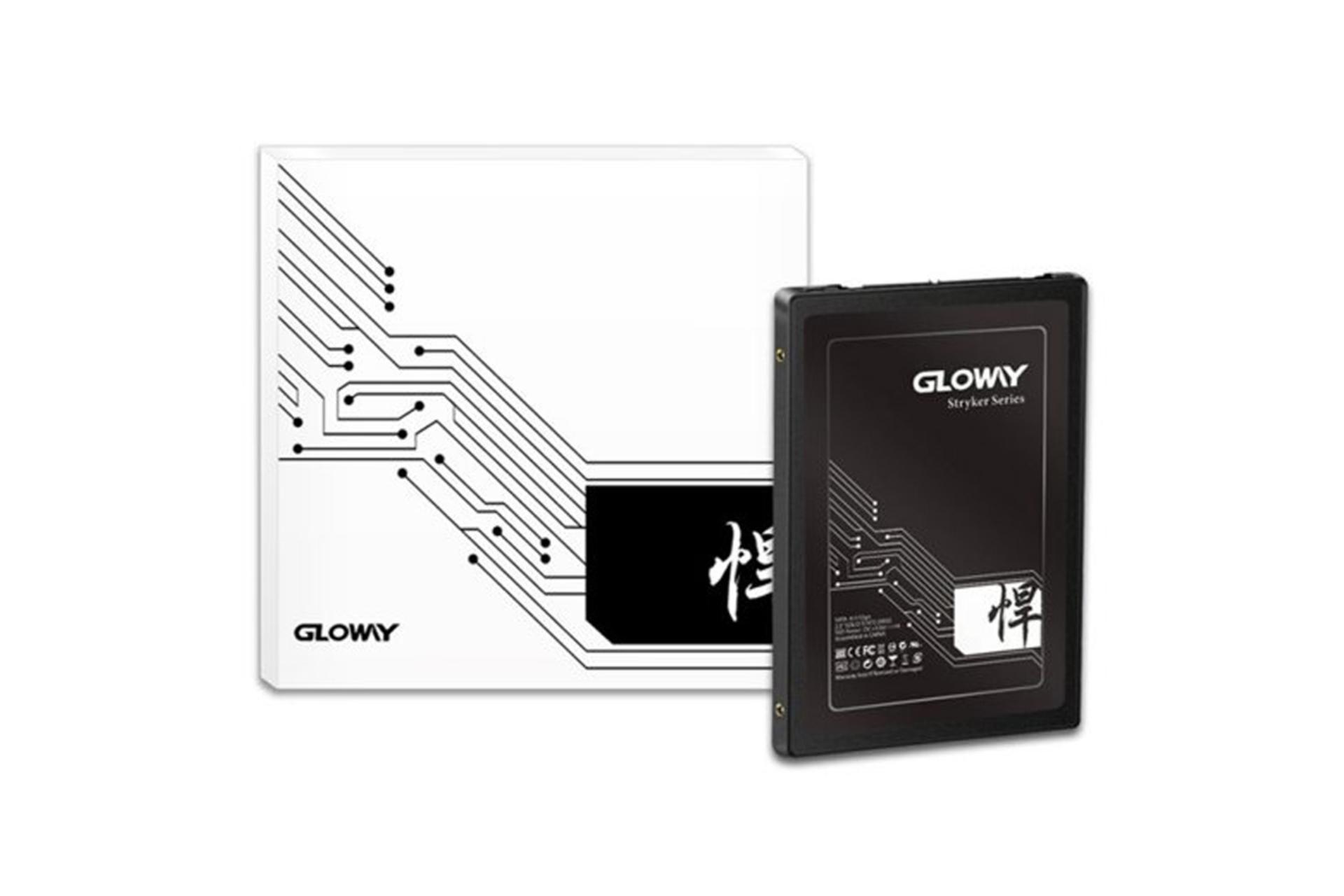 جهبه SSD گلووی FER Series SATA 2.5 Inch ظرفیت 960 گیگابایت