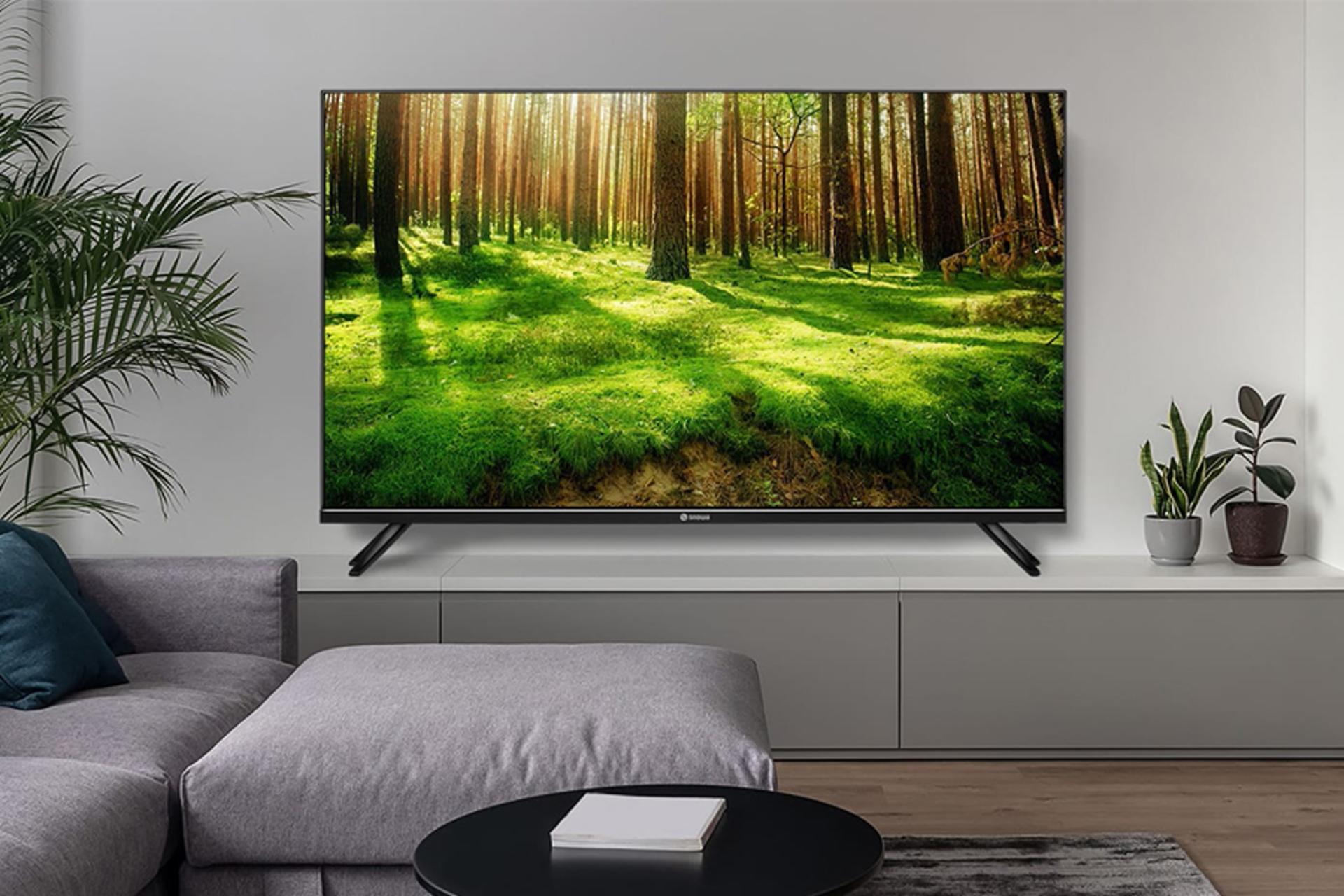 تلویزیون اسنوا Snowa SSD-43SK400D در اتاق نشیمن