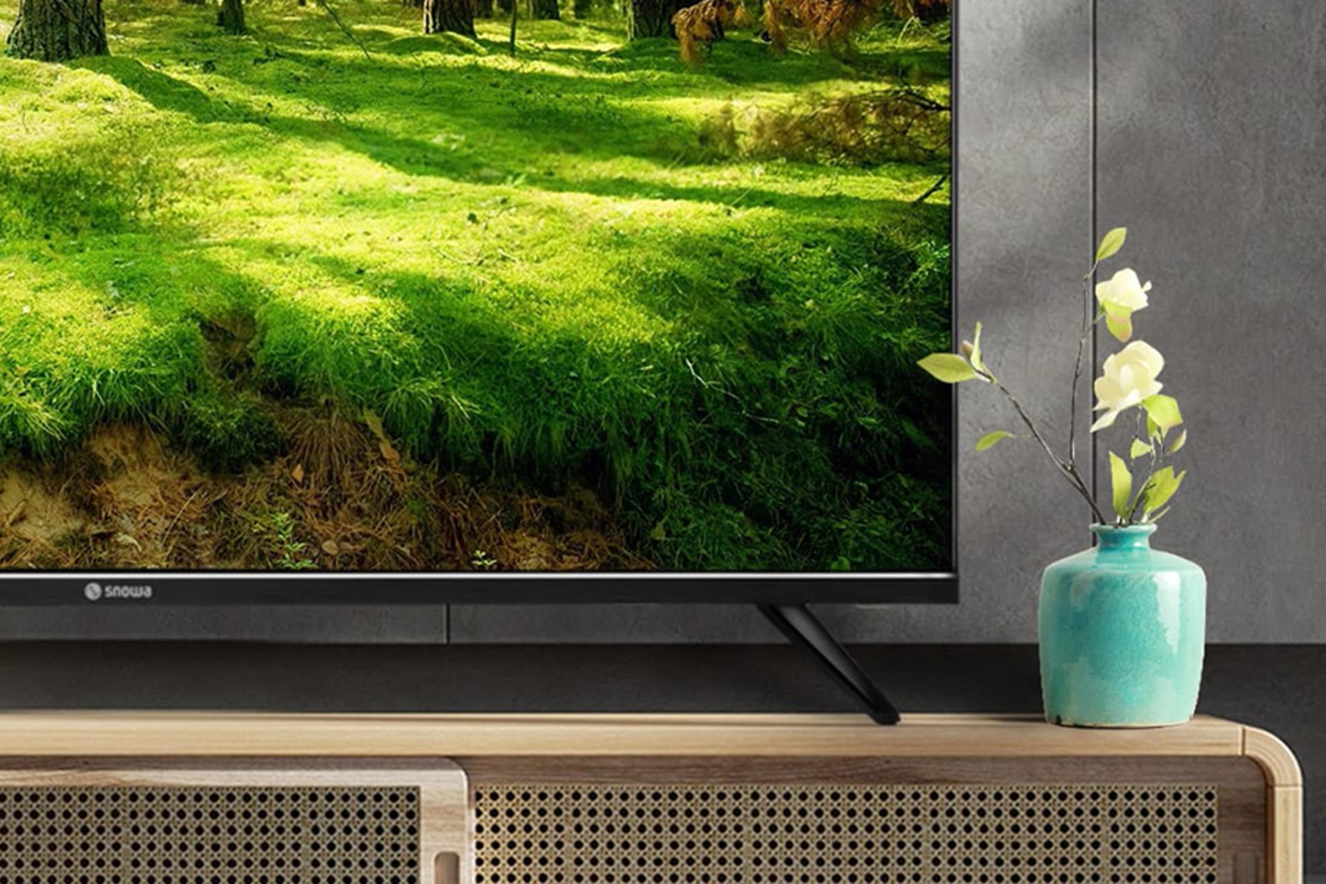 تلویزیون اسنوا Snowa SSD-43SK400D پایه روی میز