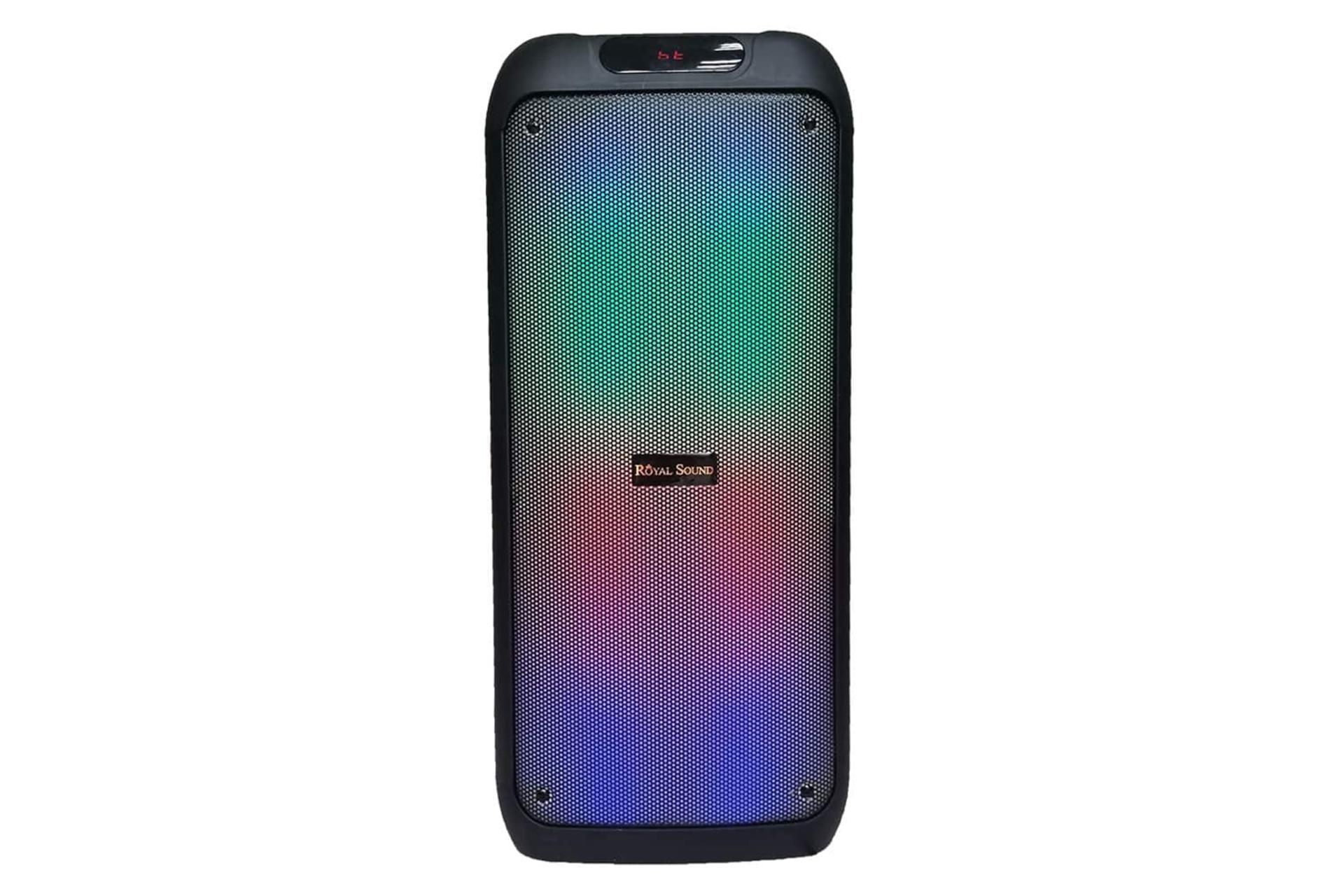 اسپیکر رویال ساند RS-D31 نمای جلو