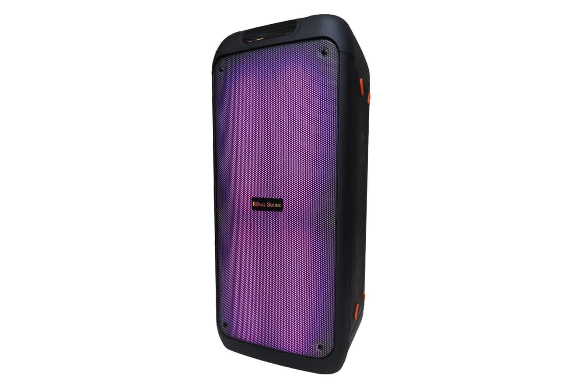 ابعاد و اندازه اسپیکر رویال ساند RS-D31