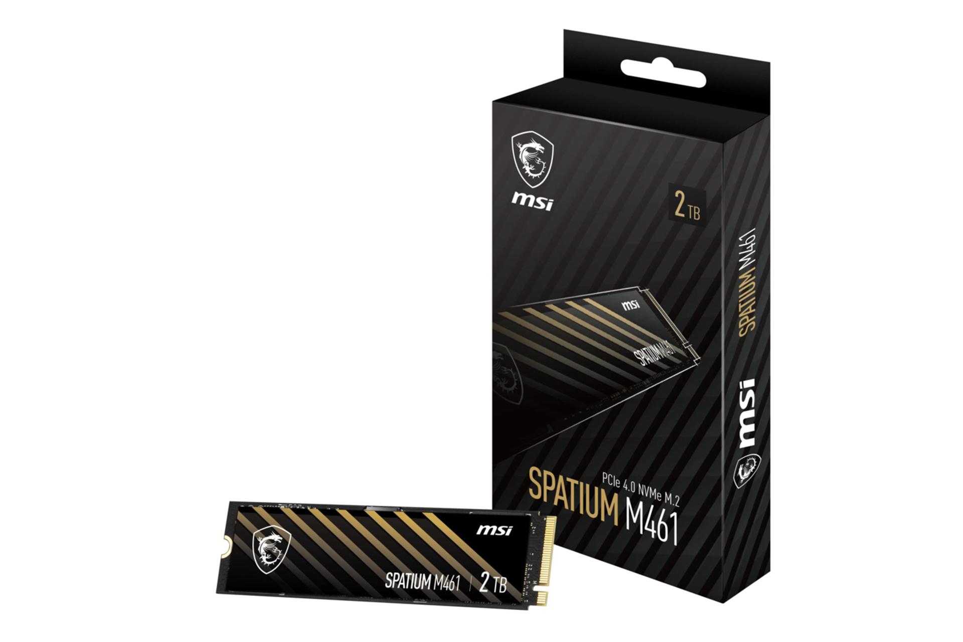 جعبه اس اس دی ام اس آی SPATIUM M461 NVMe M.2 ظرفیت 2 ترابایت