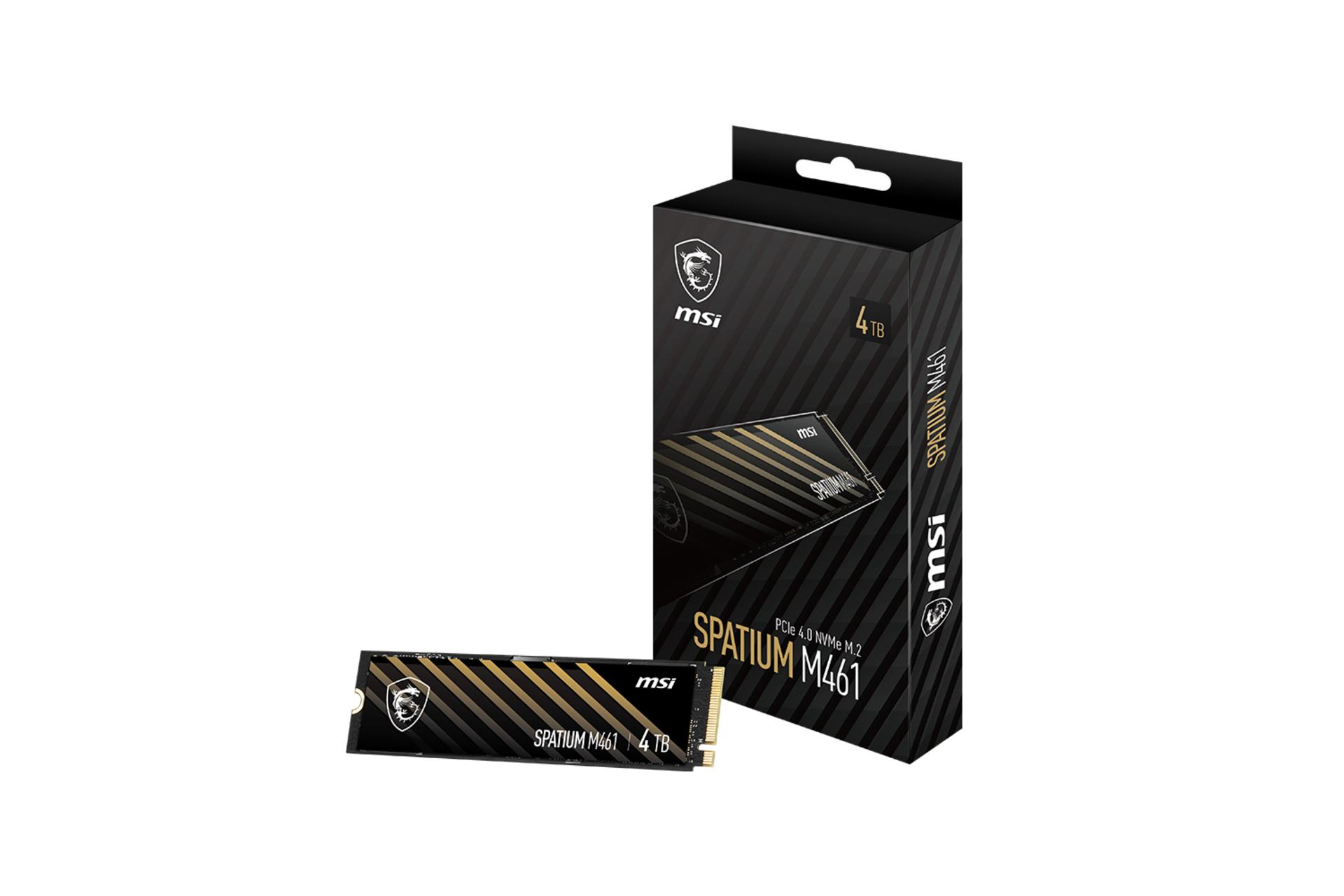 جعبه اس اس دی ام اس آی SPATIUM M461 NVMe M.2 ظرفیت 4 ترابایت