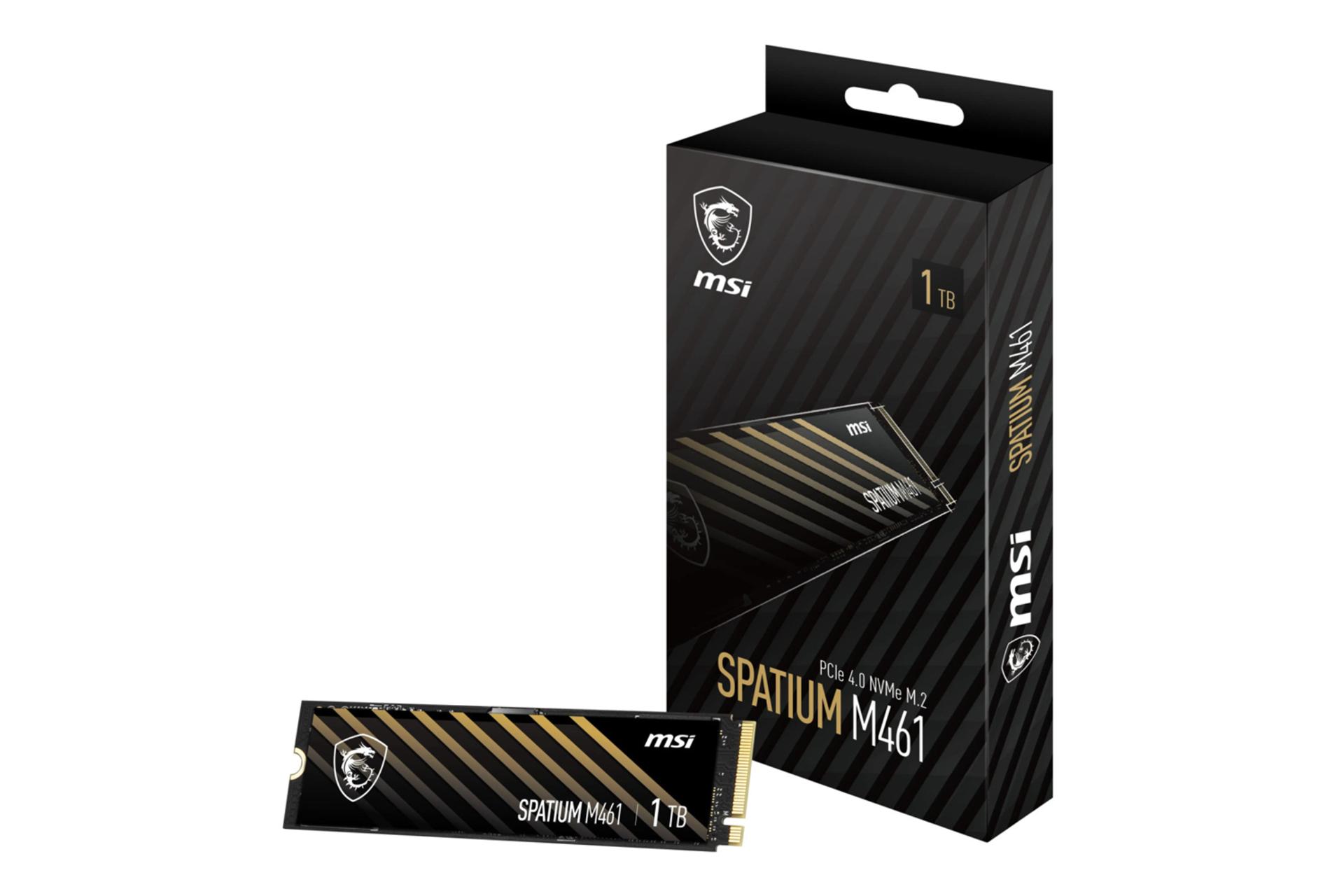 جعبه اس اس دی ام اس آی SPATIUM M461 NVMe M.2 ظرفیت 1 ترابایت