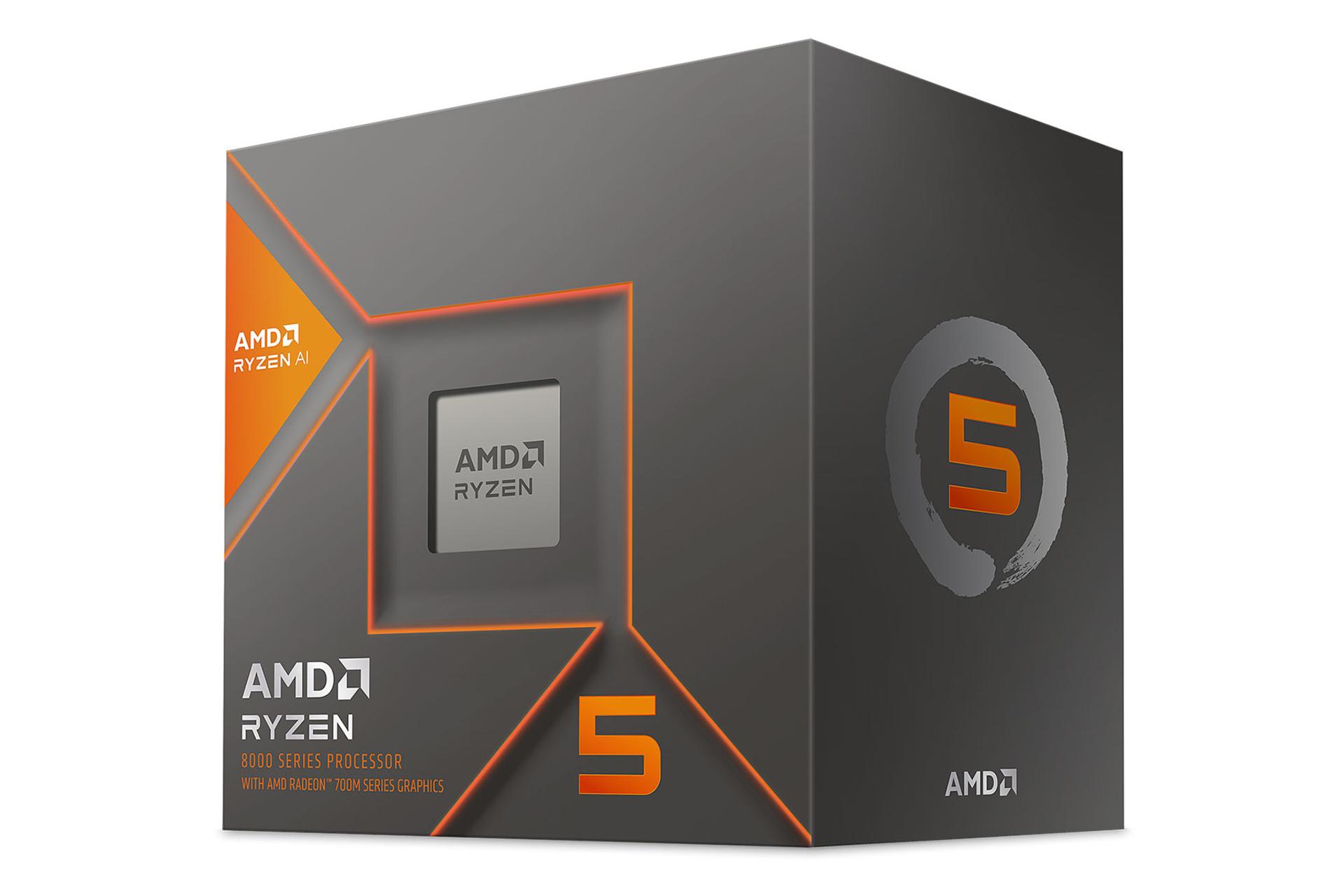 نمای نیمرخ جعبه‌ی پردازنده AMD رایزن 5 8600G با نمایش پردازنده، لوگو و نمای سمت راست جعبه