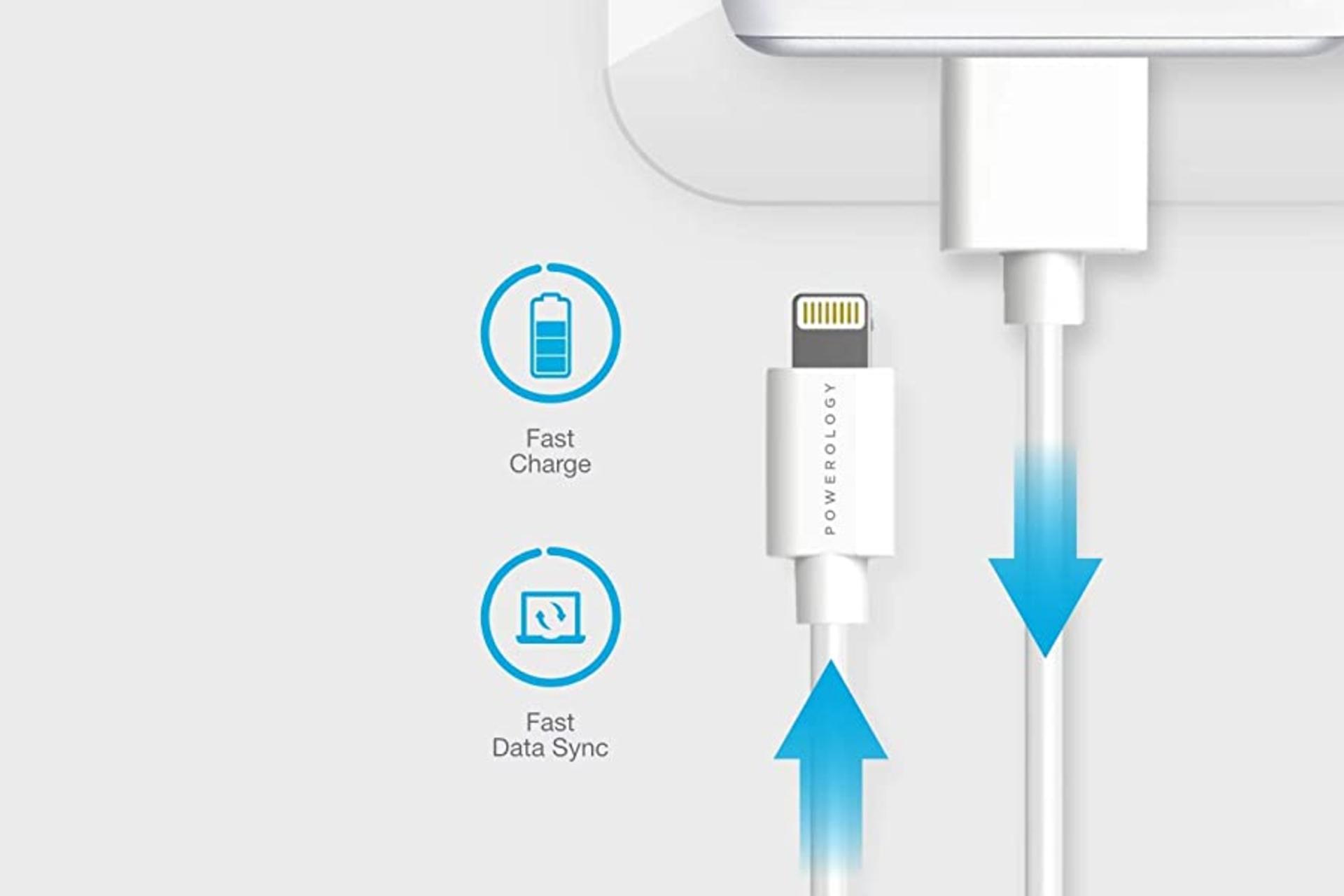 کانکتور و اتصال کابل شارژ USB پاورولوجی Type-A به Lightning مدل P3BL با طول 3 متر