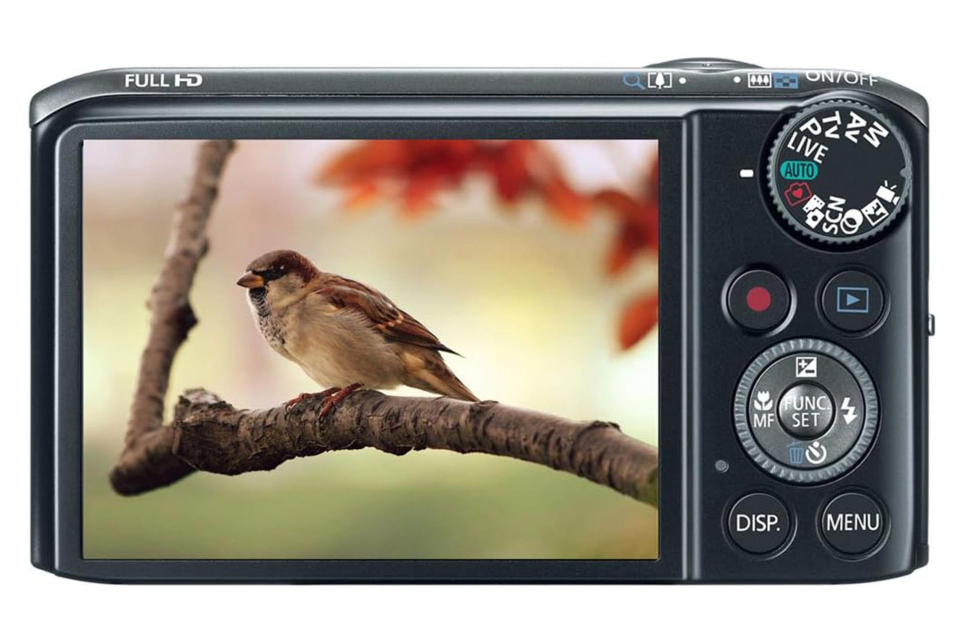 دوربین کانن Canon PowerShot SX260 HS نمای پشت و صفحه نمایش LCD