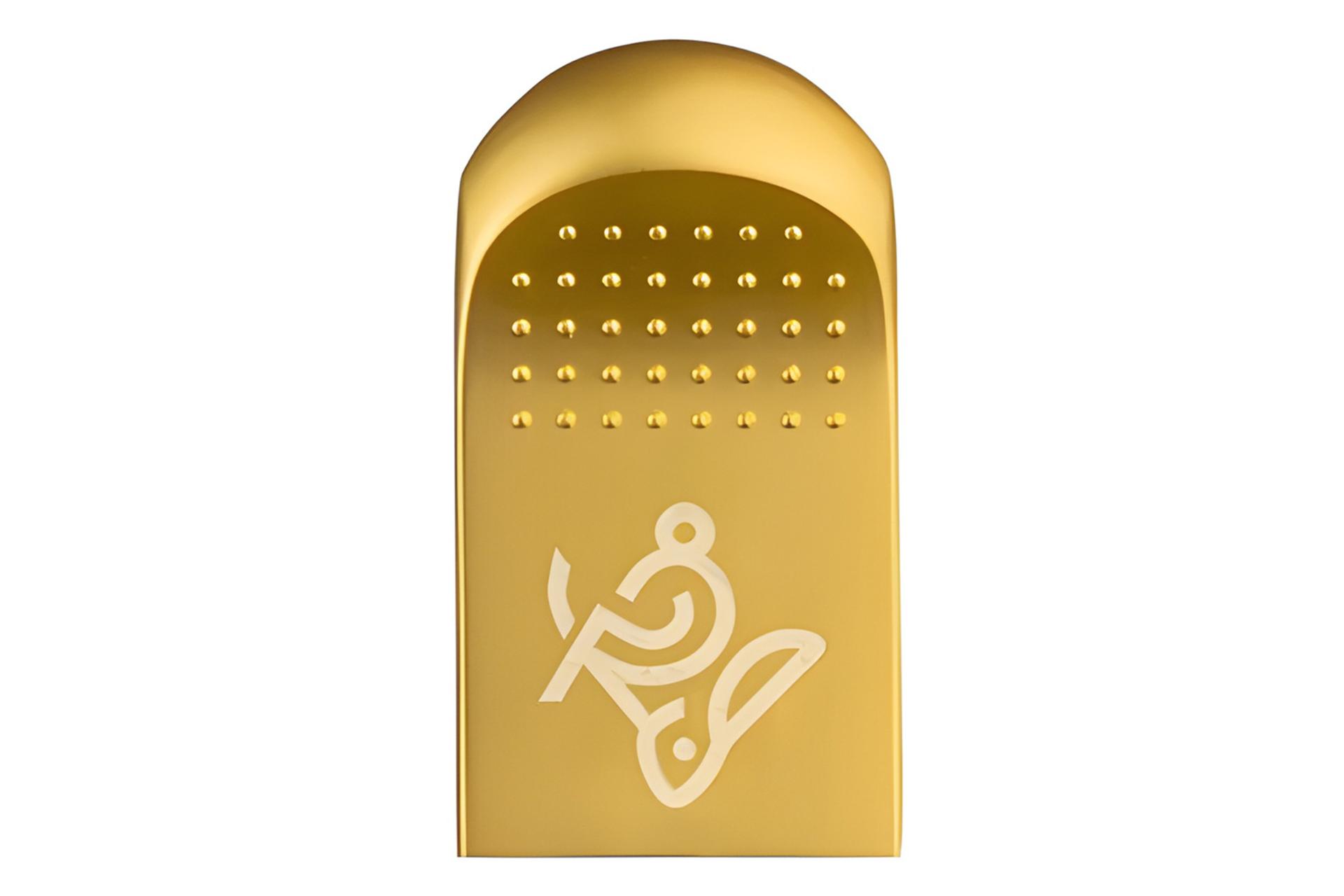 فلش مموری آی کیو iQ Deluxe iQ305 64GB USB 2.0