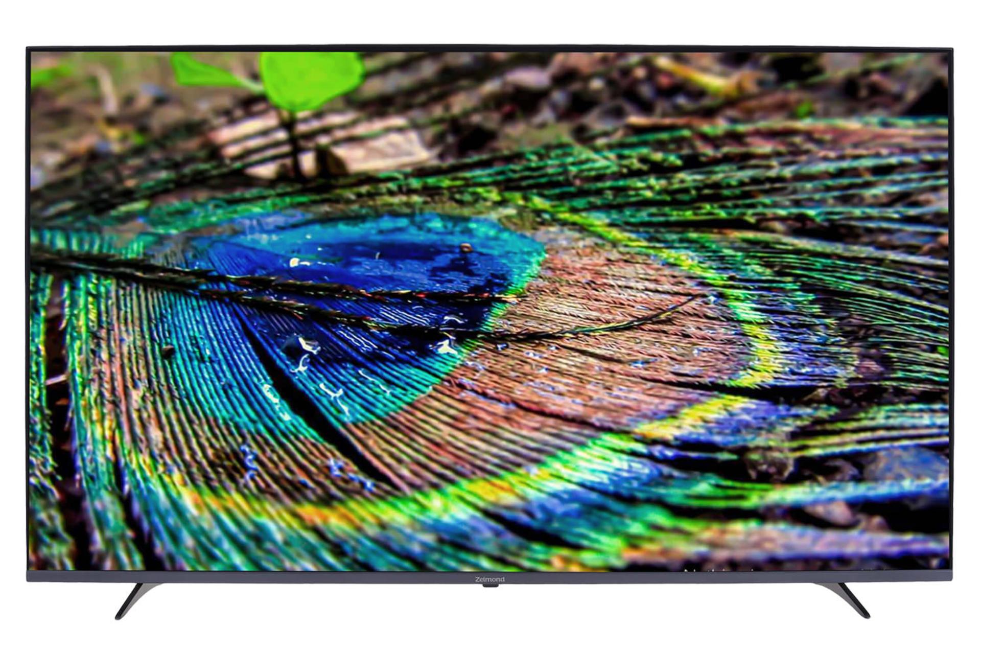 تلویزیون زلموند Zelmond PANAZ780 نمای جلو