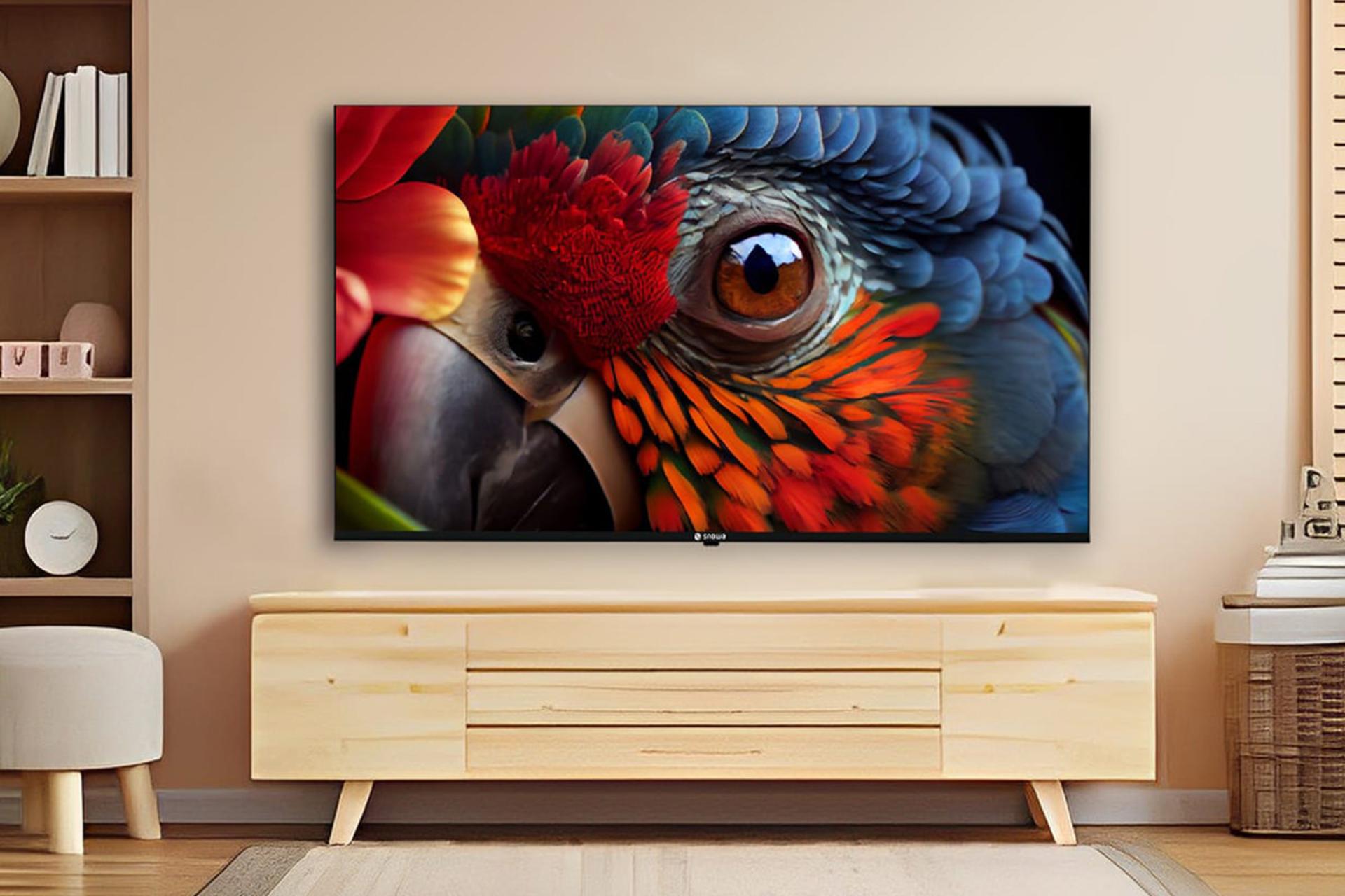 تلویزیون اسنو Snowa SK650UDI نمای جلو روی دیوار