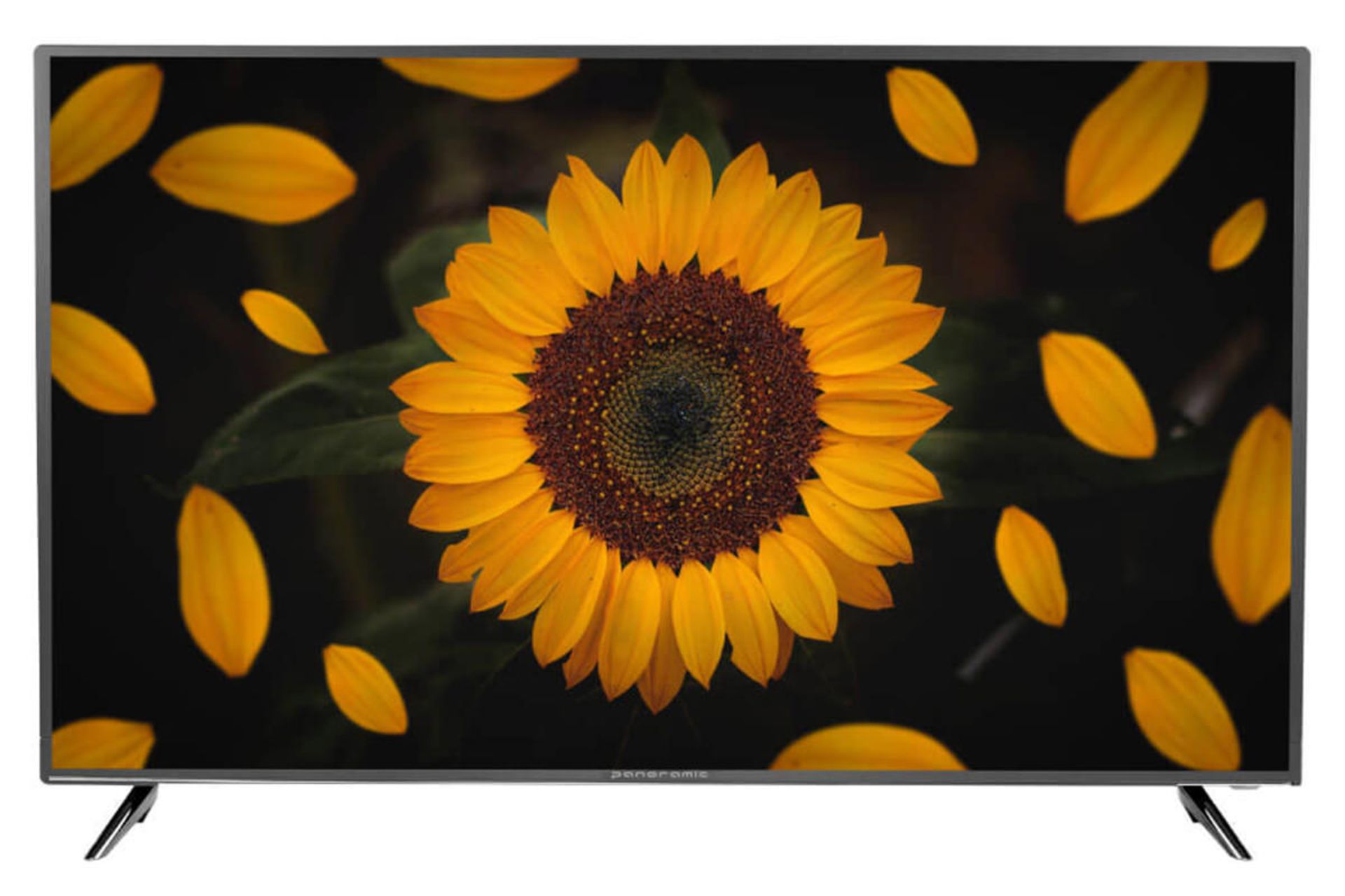 تلویزیون پانورامیک Panoramic SC277 نمای جلو