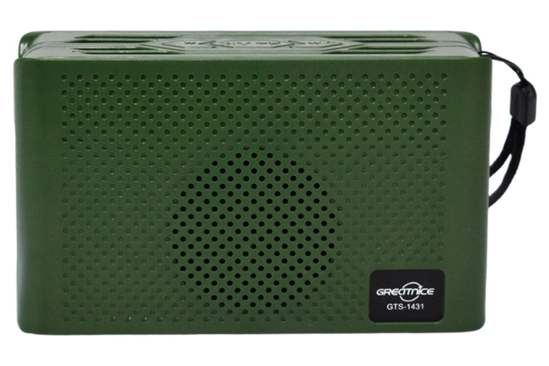 ابعاد و اندازه اسپیکر گریت نایس GTS-1431