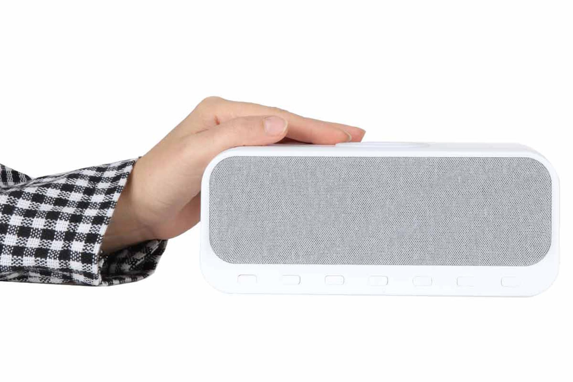 ابعاد و اندازه اسپیکر دینلاین DW-300